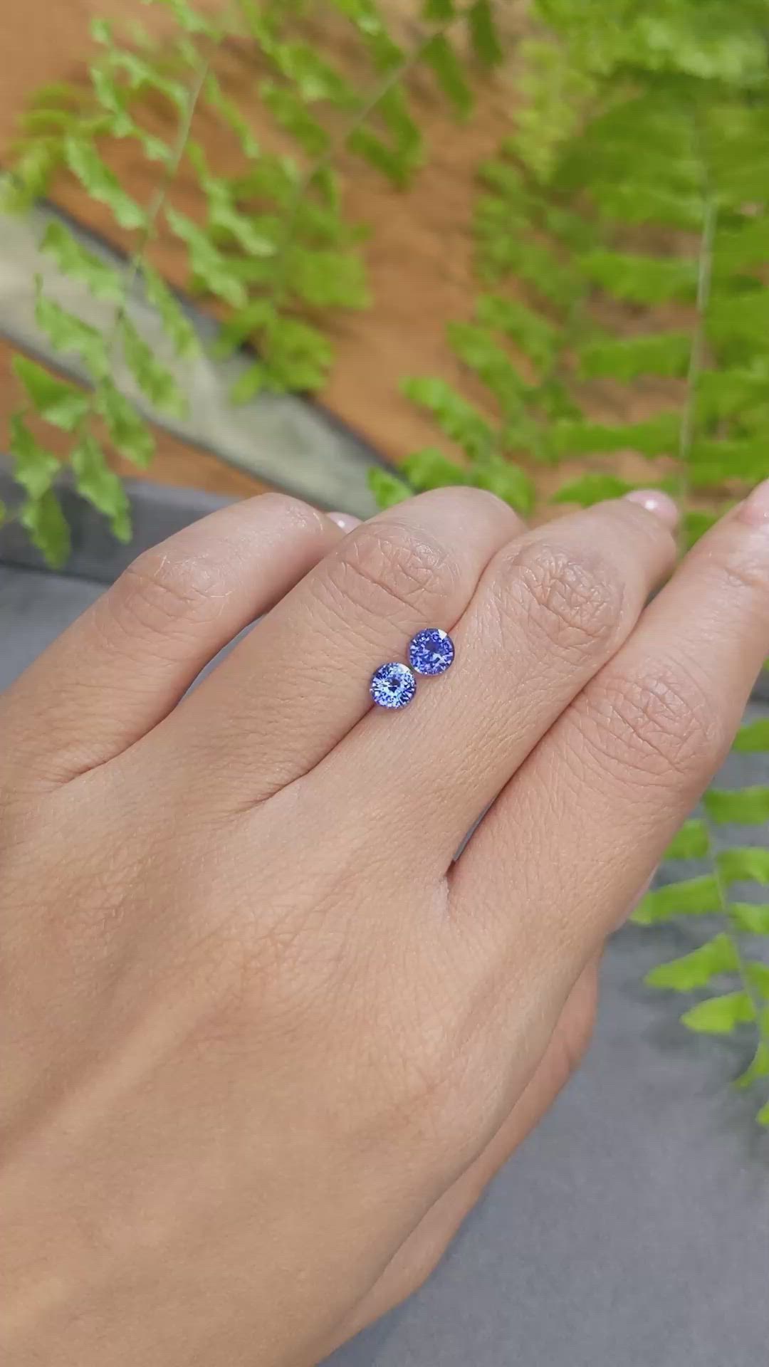 1.16&nbsp;Ct.Tw.Total Carat Weight Blue Sapphire Pair from Ceylon (Sri Lanka) Size Video