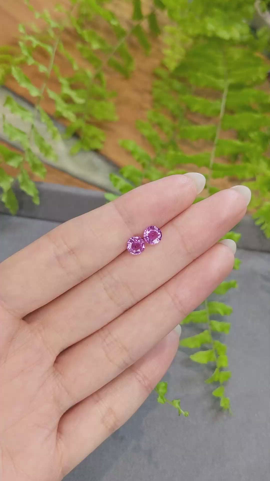 1.54&nbsp;Ct.Tw.Total Carat Weight Pink Sapphire Pair from Ceylon (Sri Lanka) Size Video