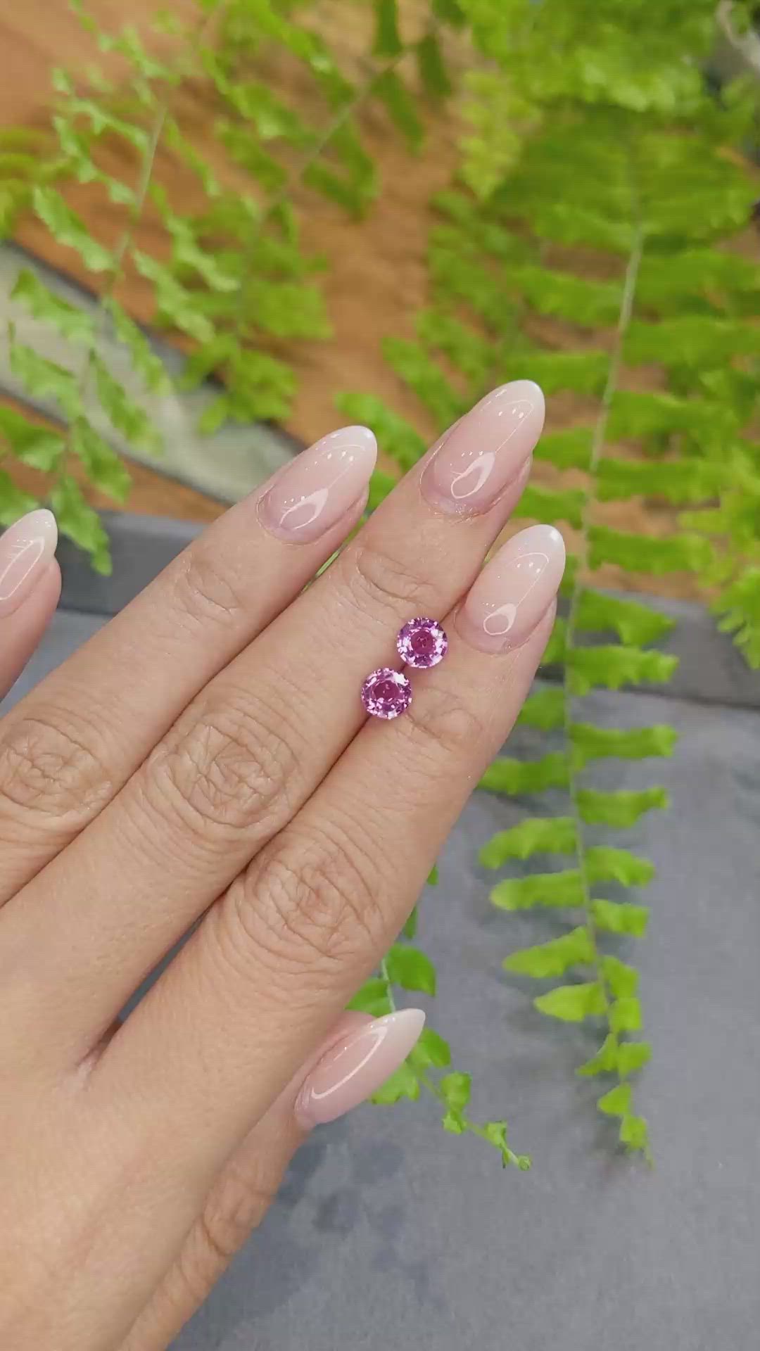 1.54&nbsp;Ct.Tw.Total Carat Weight Pink Sapphire Pair from Ceylon (Sri Lanka) Size Video