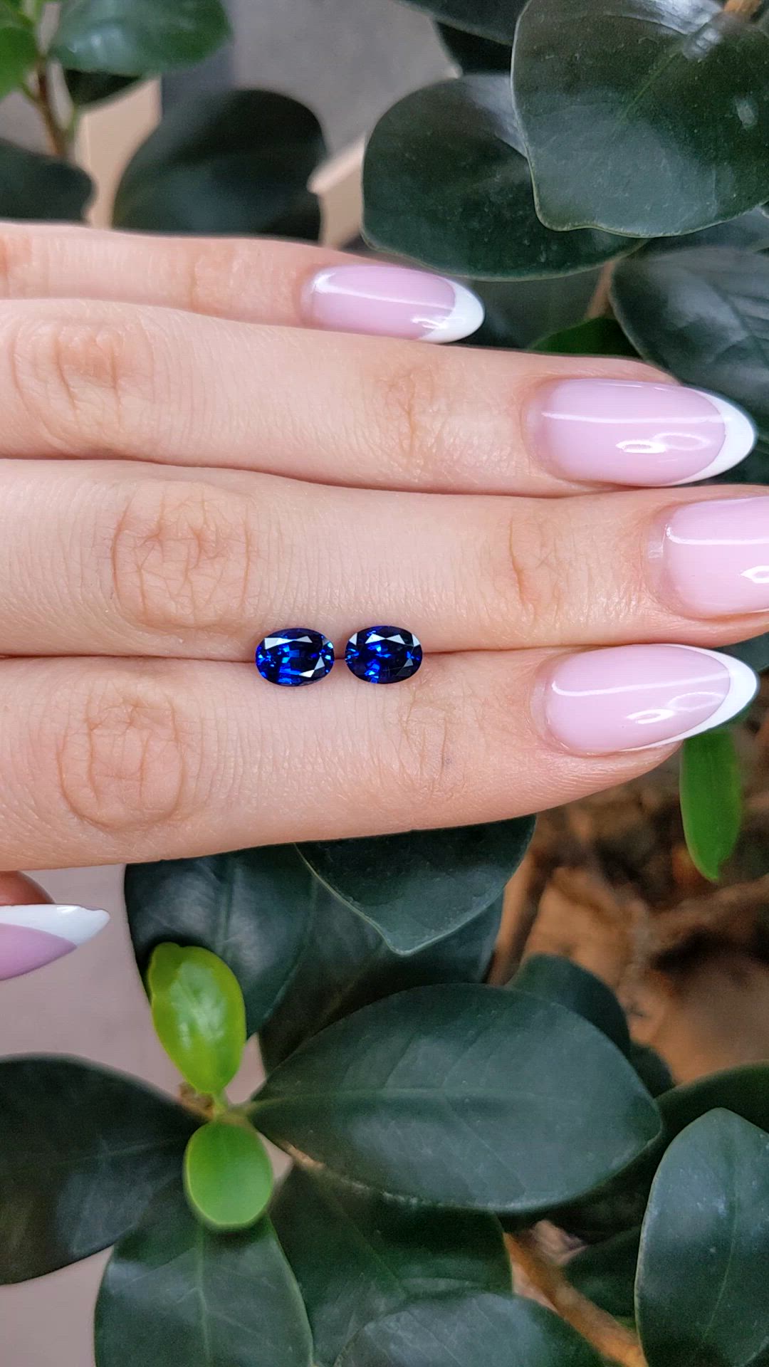 2.01 Ct.Tw.Total Carat Weight Blue Sapphire Pair from Ceylon (Sri Lanka) Size Video