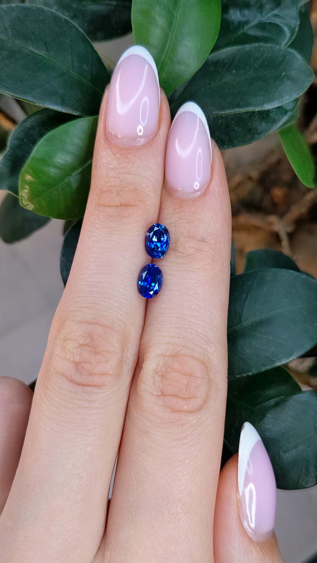 1.95&nbsp;Ct.Tw.Total Carat Weight Blue Sapphire Pair from Ceylon (Sri Lanka) Size Video