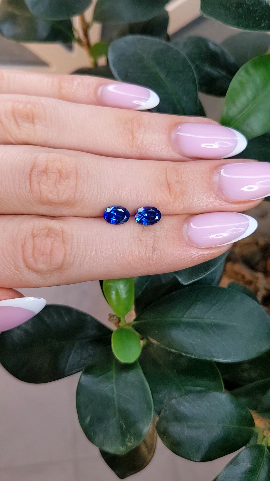 1.95&nbsp;Ct.Tw.Total Carat Weight Blue Sapphire Pair from Ceylon (Sri Lanka) Size Video