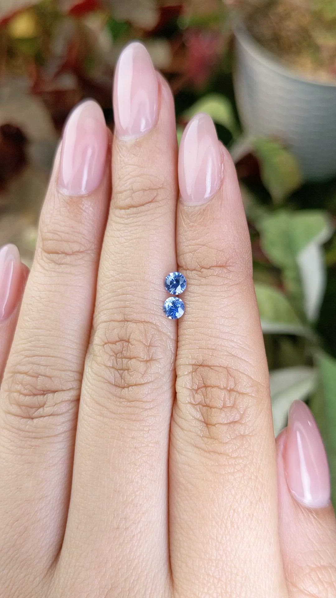 0.53 Ct.Tw.Total Carat Weight Blue Sapphire Pair from Ceylon (Sri Lanka) Size Video