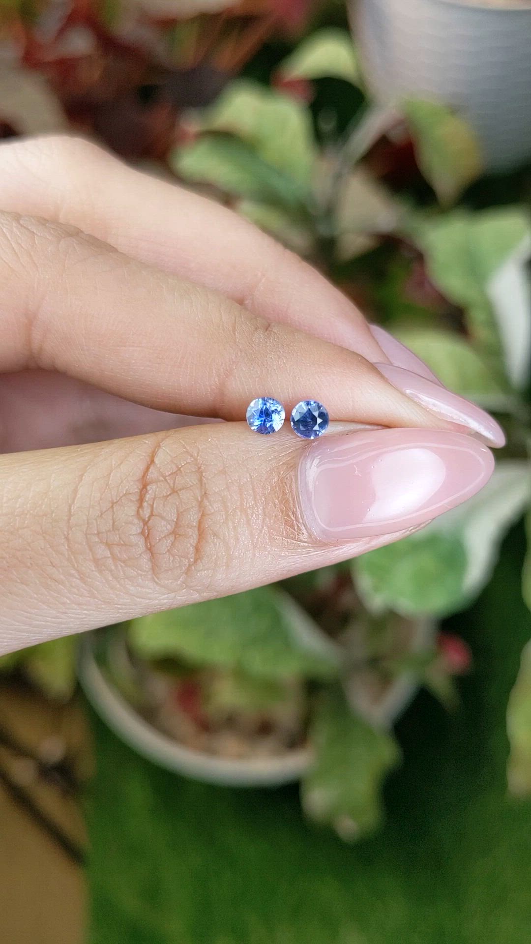 0.53 Ct.Tw.Total Carat Weight Blue Sapphire Pair from Ceylon (Sri Lanka) Size Video