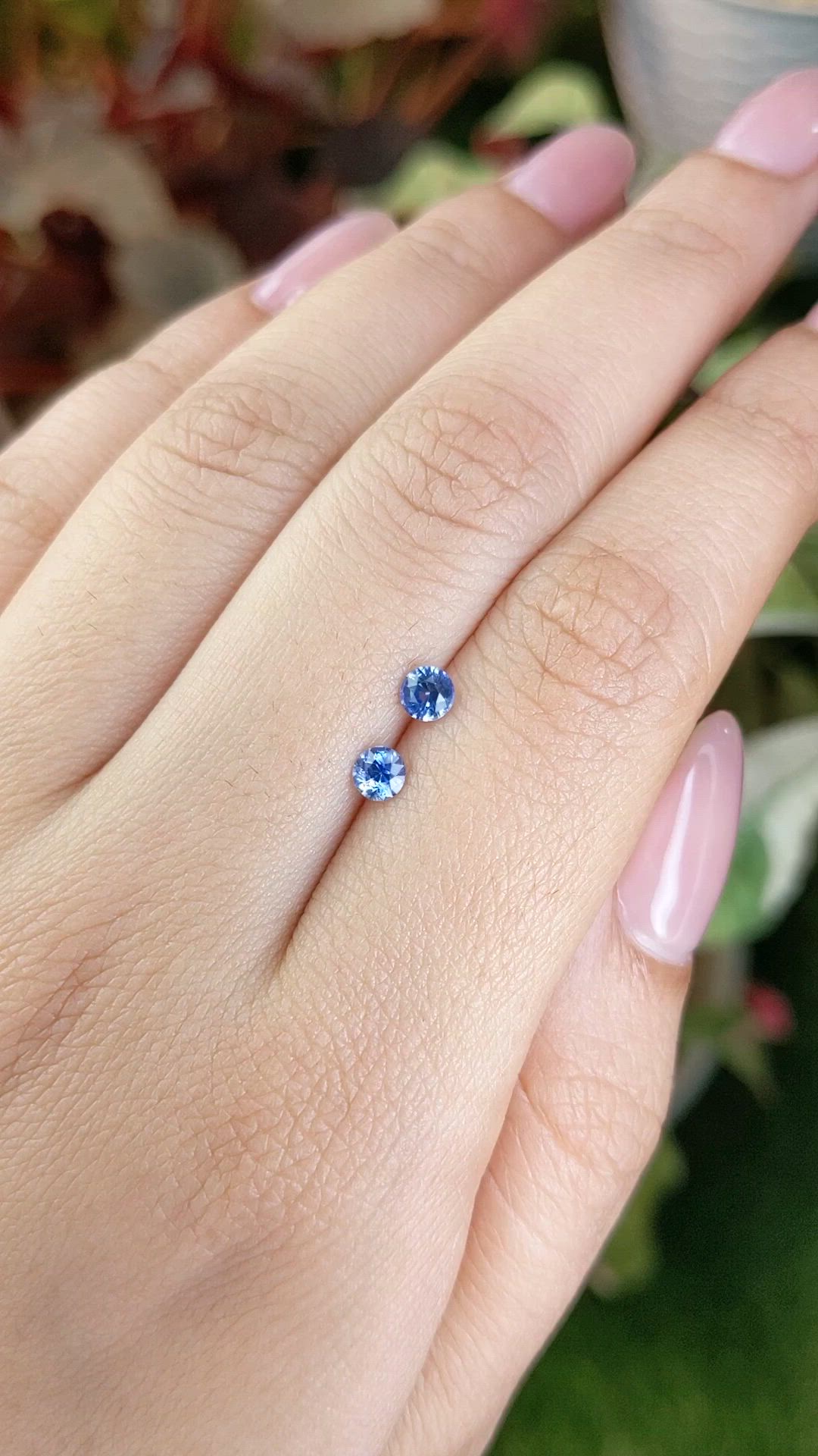 0.53 Ct.Tw.Total Carat Weight Blue Sapphire Pair from Ceylon (Sri Lanka) Size Video
