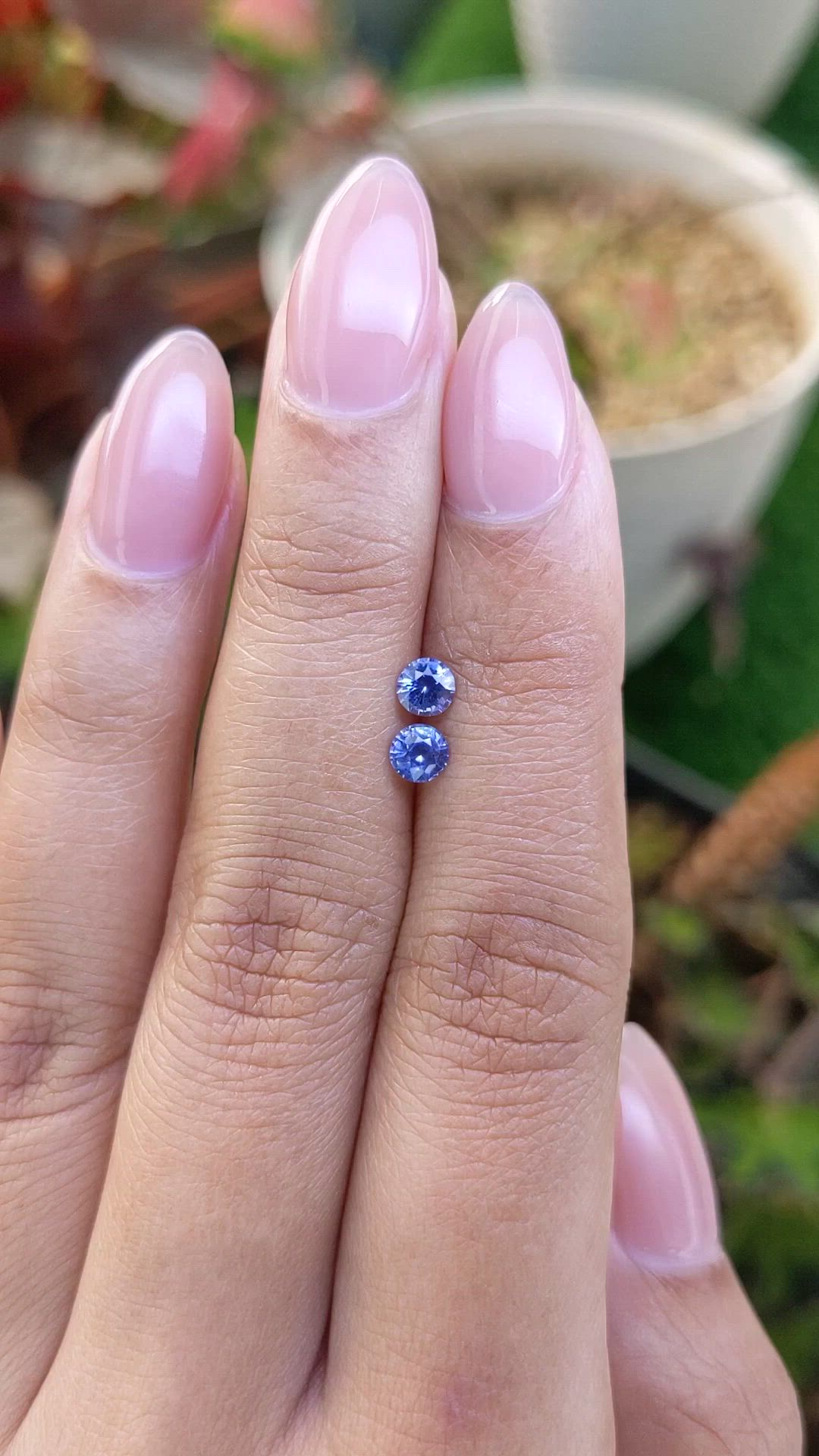 0.69 Ct.Tw.Total Carat Weight Blue Sapphire Pair from Ceylon (Sri Lanka) Size Video