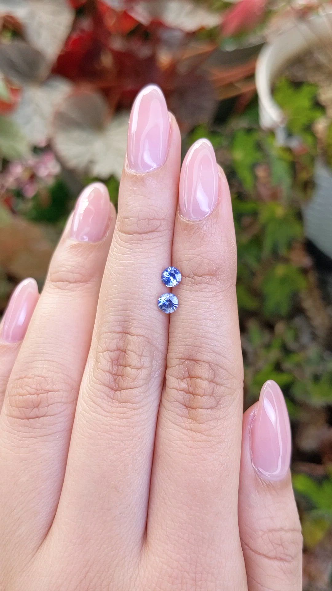 0.66 Ct.Tw.Total Carat Weight Blue Sapphire Pair from Ceylon (Sri Lanka) Size Video