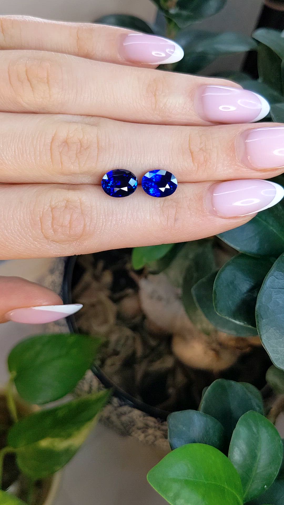 6.00 Ct.Tw.Total Carat Weight Blue Sapphire Pair from Ceylon (Sri Lanka) Size Video
