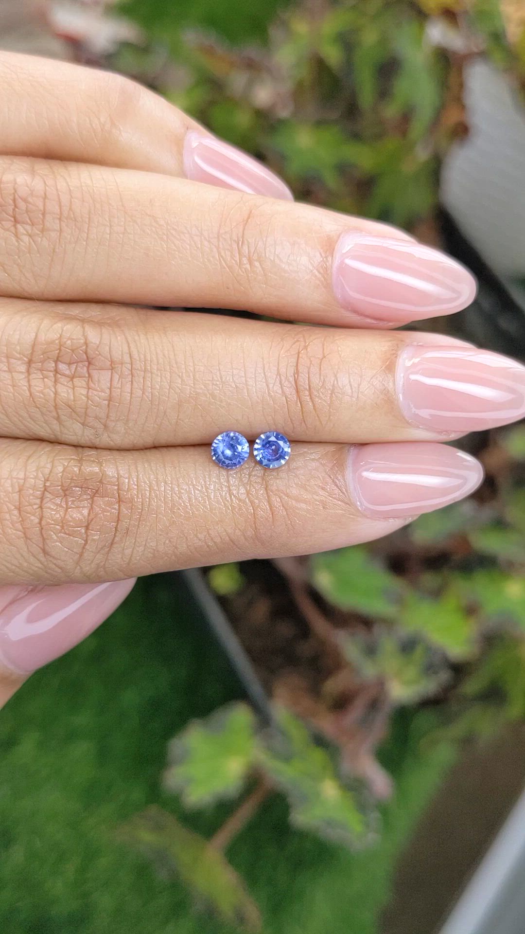 0.66&nbsp;Ct.Tw.Total Carat Weight Blue Sapphire Pair from Ceylon (Sri Lanka) Size Video