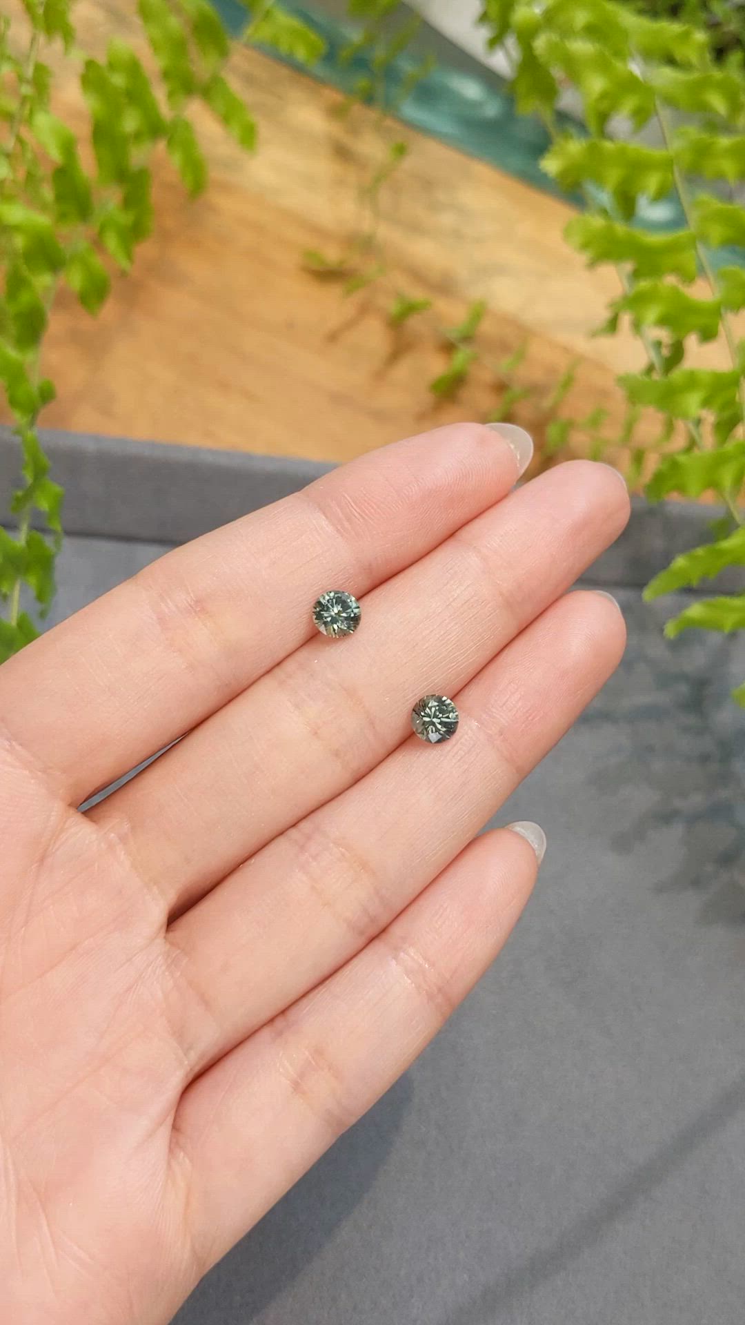 1.59 Ct.Tw.Total Carat Weight Bluish Green Sapphire Pair from Montana Size Video