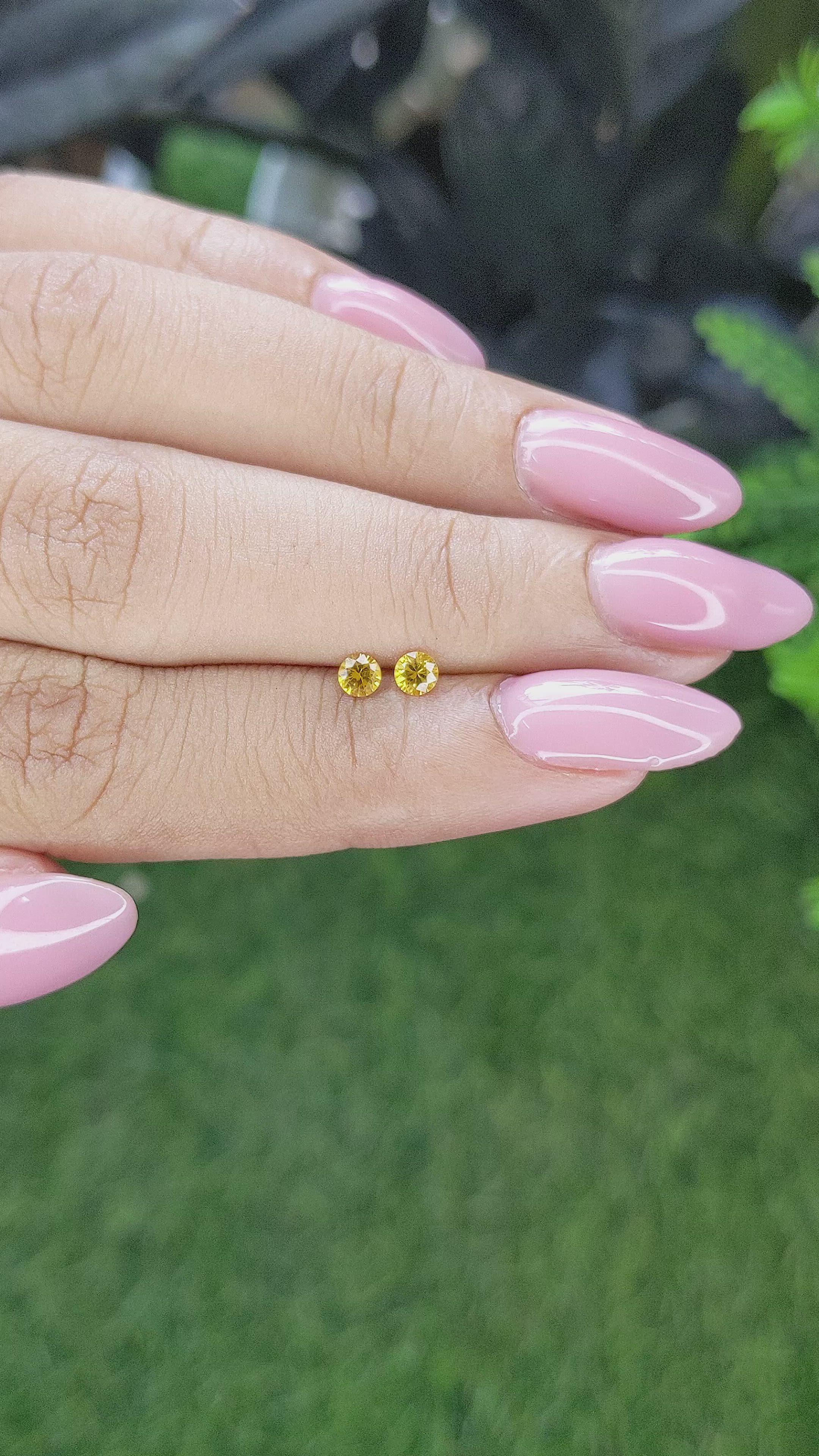 0.30 Ct.Tw.Total Carat Weight Yellow Sapphire Pair from Ceylon (Sri Lanka) Size Video