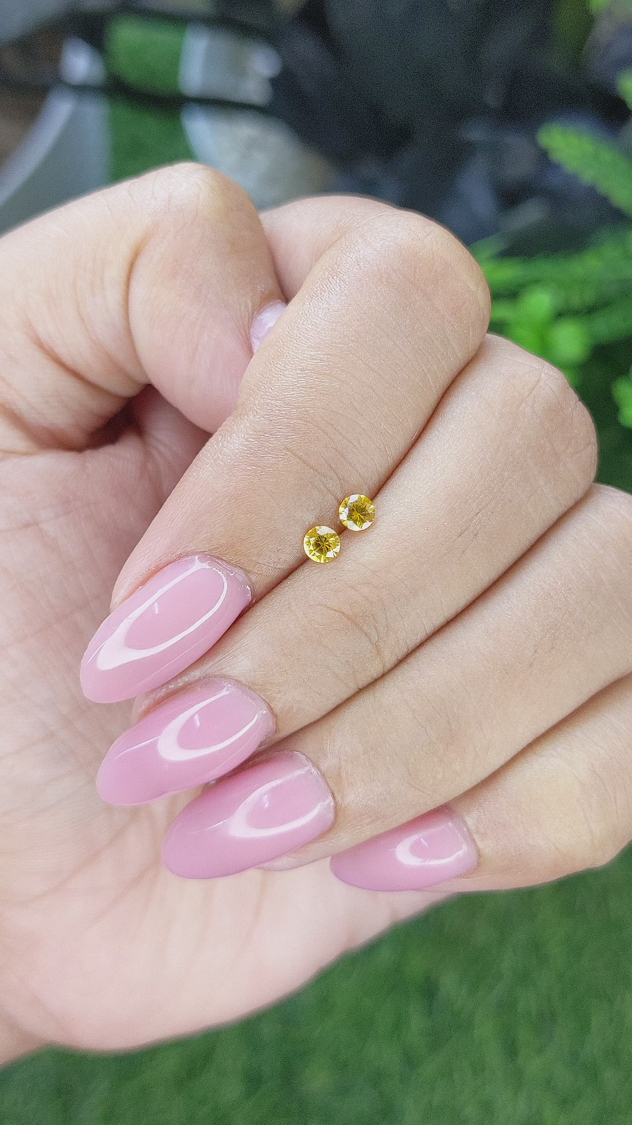 0.30 Ct.Tw.Total Carat Weight Yellow Sapphire Pair from Ceylon (Sri Lanka) Size Video