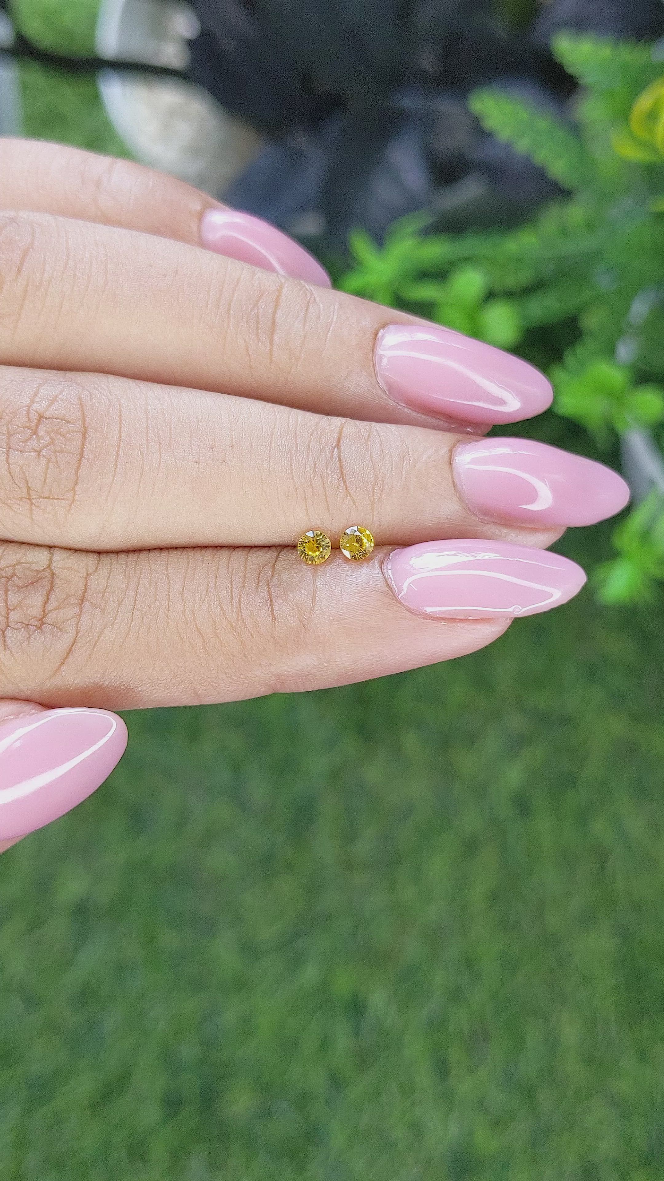 0.27 Ct.Tw.Total Carat Weight Yellow Sapphire Pair from Ceylon (Sri Lanka) Size Video
