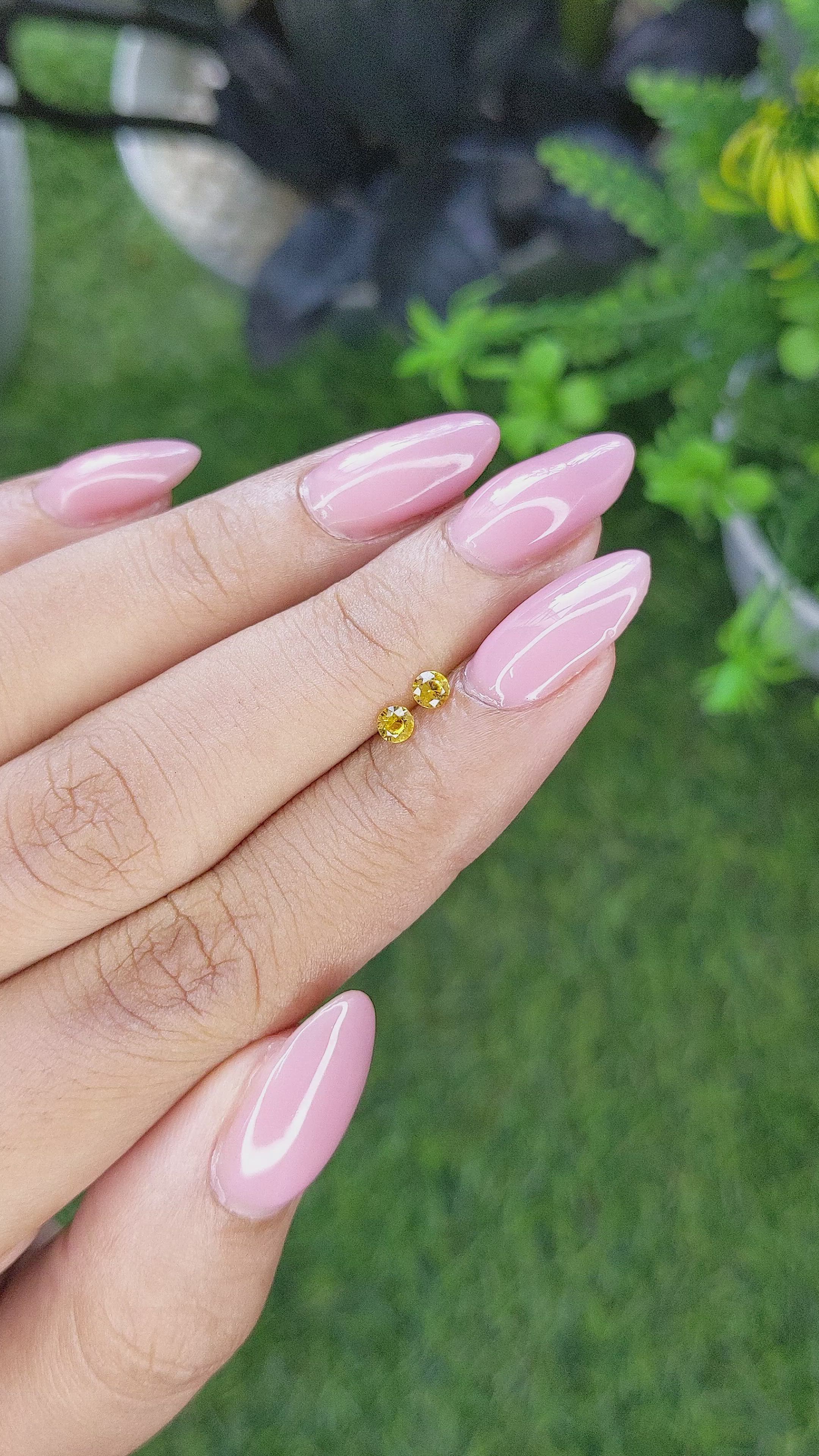 0.27 Ct.Tw.Total Carat Weight Yellow Sapphire Pair from Ceylon (Sri Lanka) Size Video