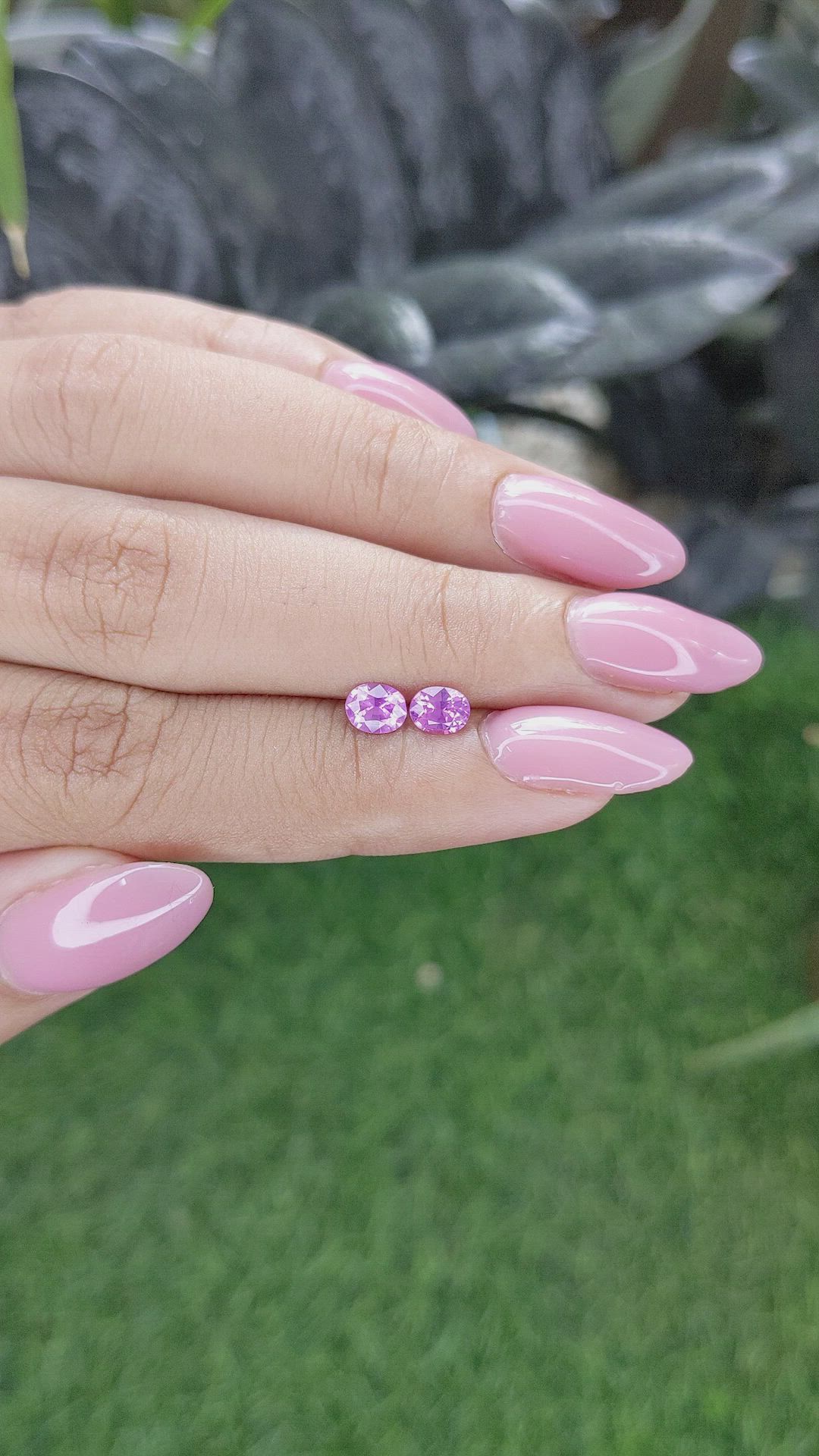 0.84 Ct.Tw.Total Carat Weight Purplish Pink Sapphire Pair from Ceylon (Sri Lanka) Size Video