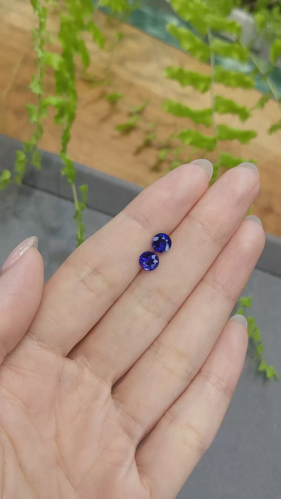 2.25 Ct.Tw.Total Carat Weight Blue Sapphire Pair from Ceylon (Sri Lanka) Size Video