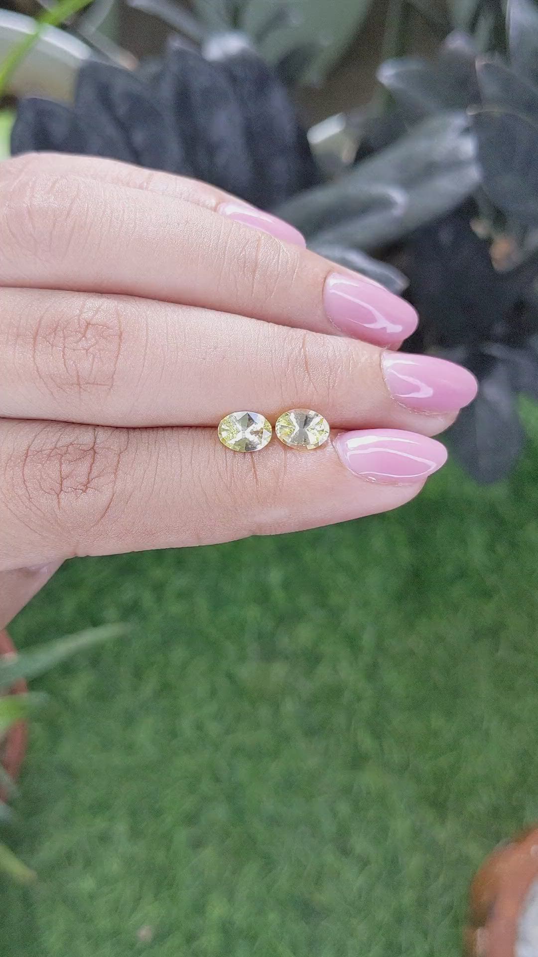 1.48 Ct.Tw.Total Carat Weight Yellow Sapphire Pair from Ceylon (Sri Lanka) Size Video