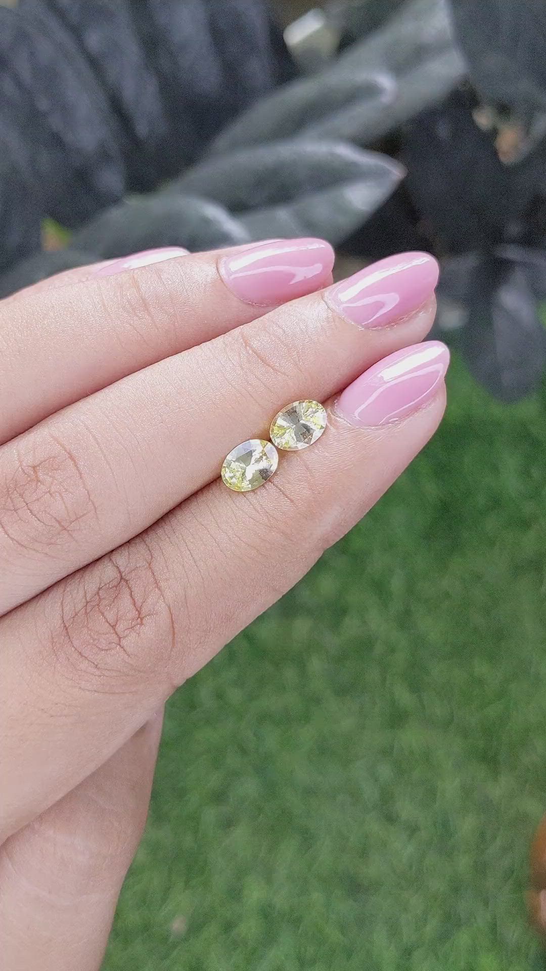 1.48 Ct.Tw.Total Carat Weight Yellow Sapphire Pair from Ceylon (Sri Lanka) Size Video