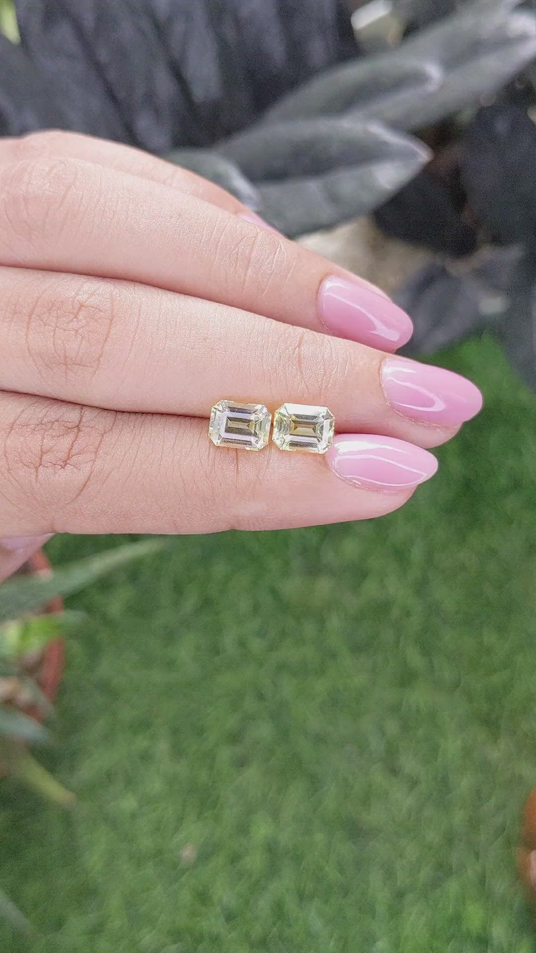 3.44 Ct.Tw.Total Carat Weight Yellow Sapphire Pair from Ceylon (Sri Lanka) Size Video