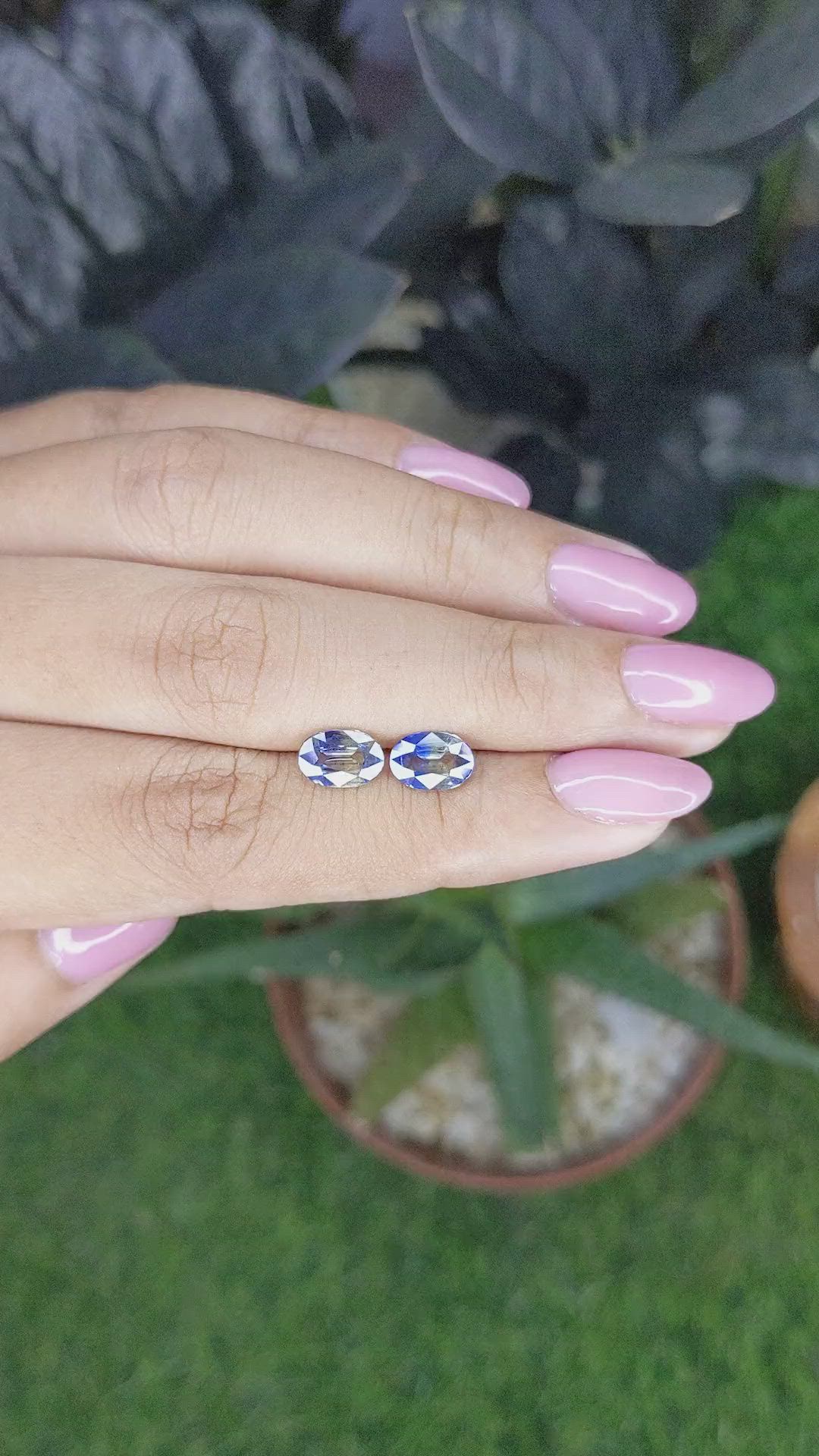 2.29 Ct.Tw.Total Carat Weight Bi Color / Parti Sapphire Pair from Ceylon (Sri Lanka) Size Video