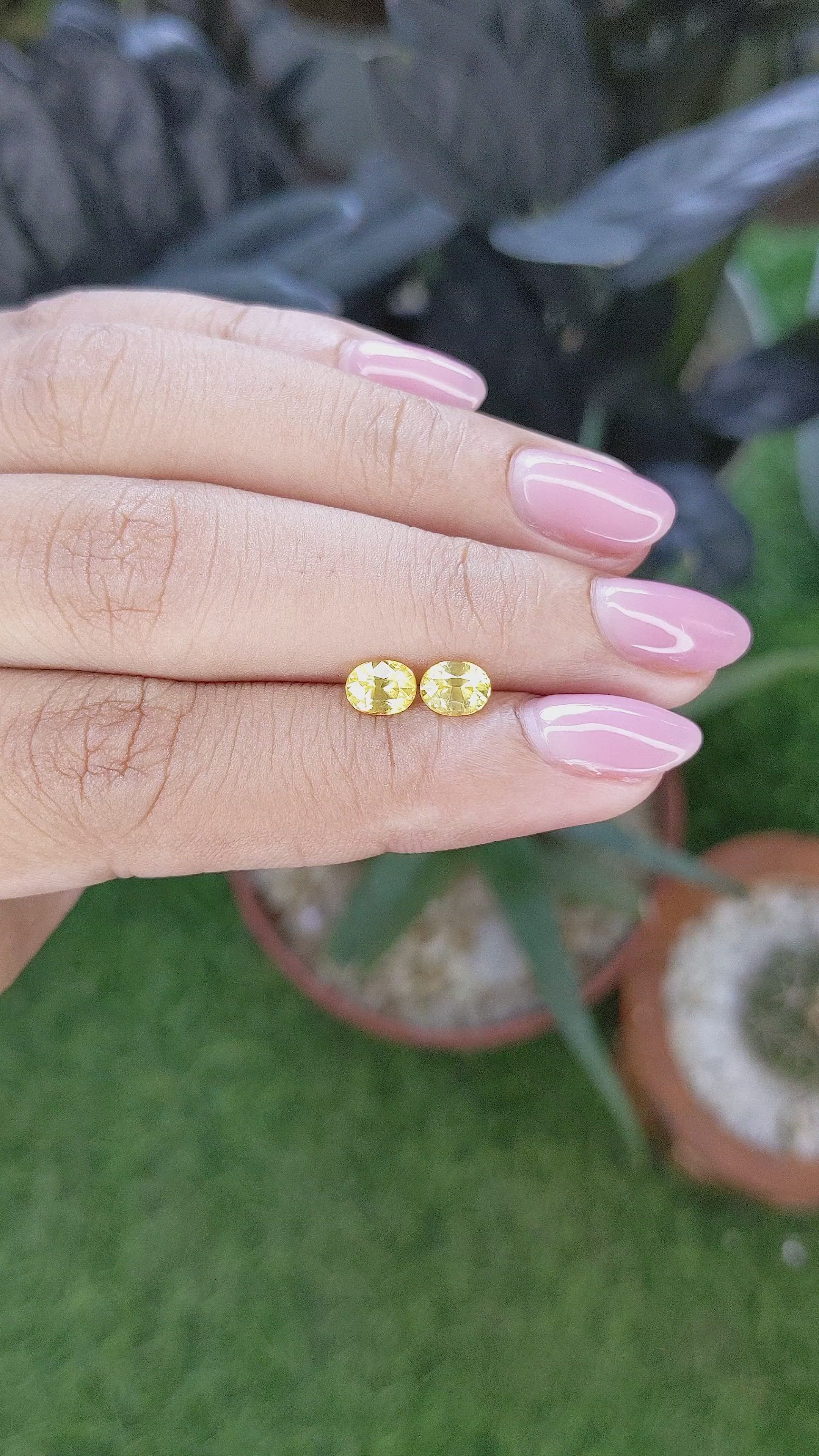 1.24 Ct.Tw.Total Carat Weight Yellow Sapphire Pair from Ceylon (Sri Lanka) Size Video