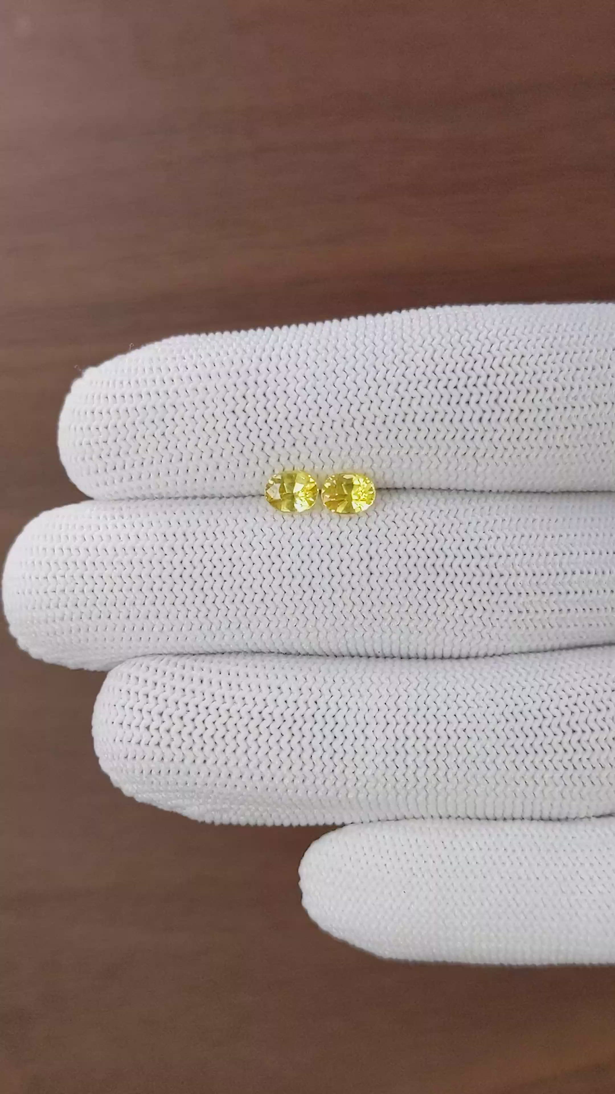 1.24 Ct.Tw.Total Carat Weight Yellow Sapphire Pair from Ceylon (Sri Lanka) Size Video