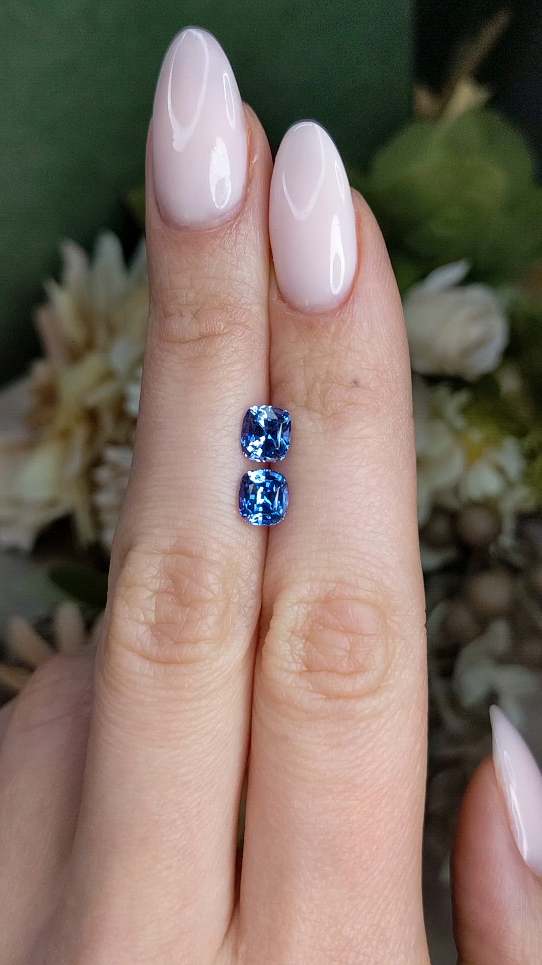 2.53 Ct.Tw.Total Carat Weight Blue Sapphire Pair from Ceylon (Sri Lanka) Size Video