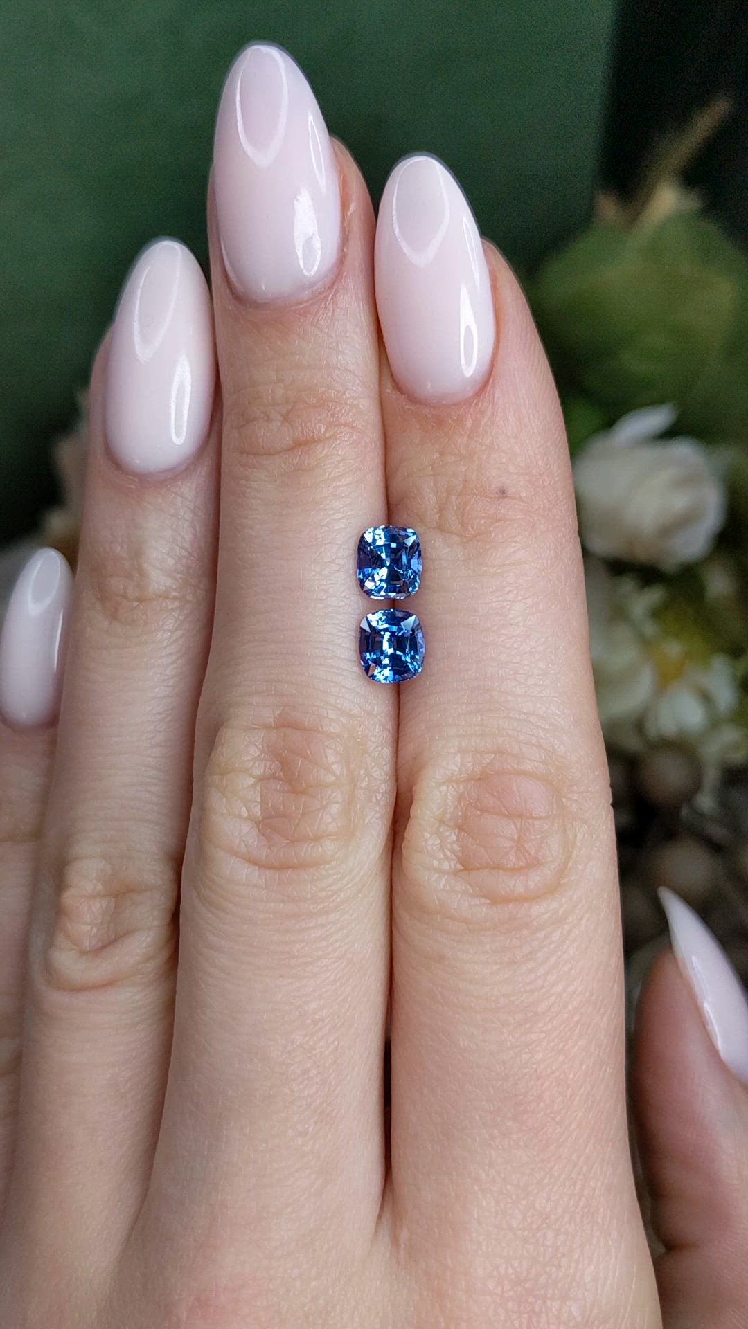2.53 Ct.Tw.Total Carat Weight Blue Sapphire Pair from Ceylon (Sri Lanka) Size Video