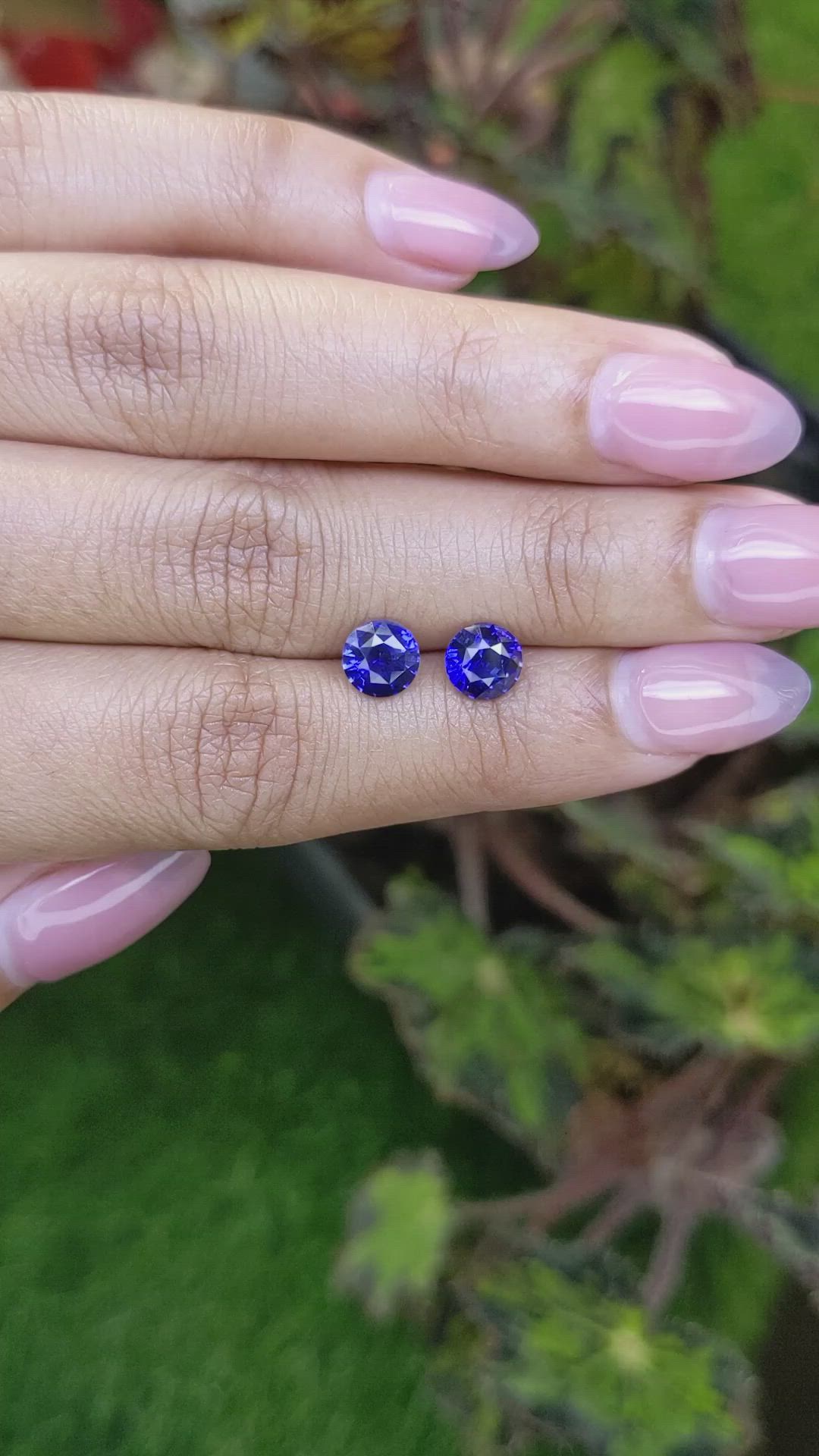 2.42&nbsp;Ct.Tw.Total Carat Weight Blue Sapphire Pair from Ceylon (Sri Lanka) Size Video