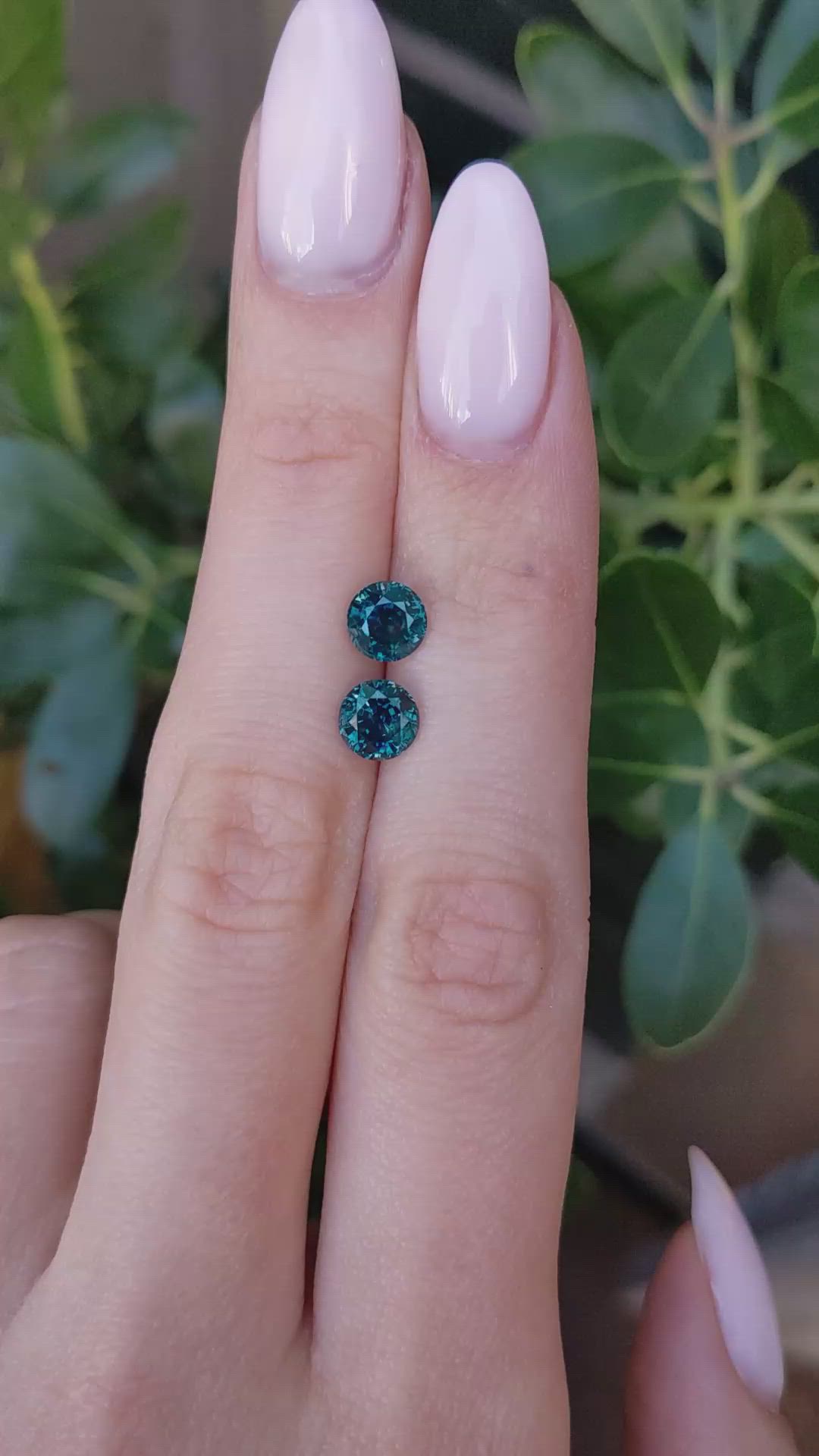 2.42 Ct.Tw.Total Carat Weight Greenish Blue Sapphire Pair from Montana Size Video