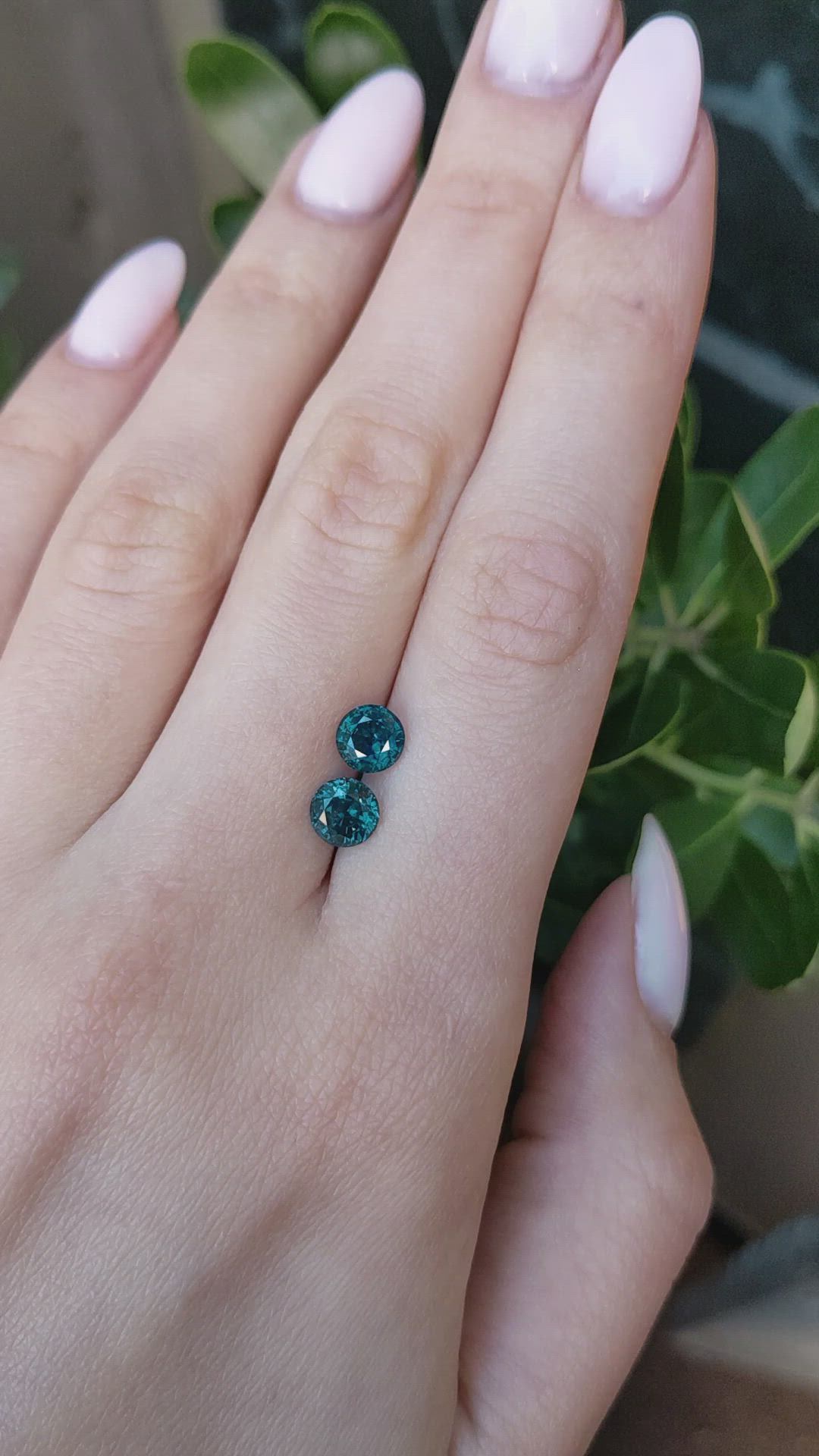 2.42 Ct.Tw.Total Carat Weight Greenish Blue Sapphire Pair from Montana Size Video
