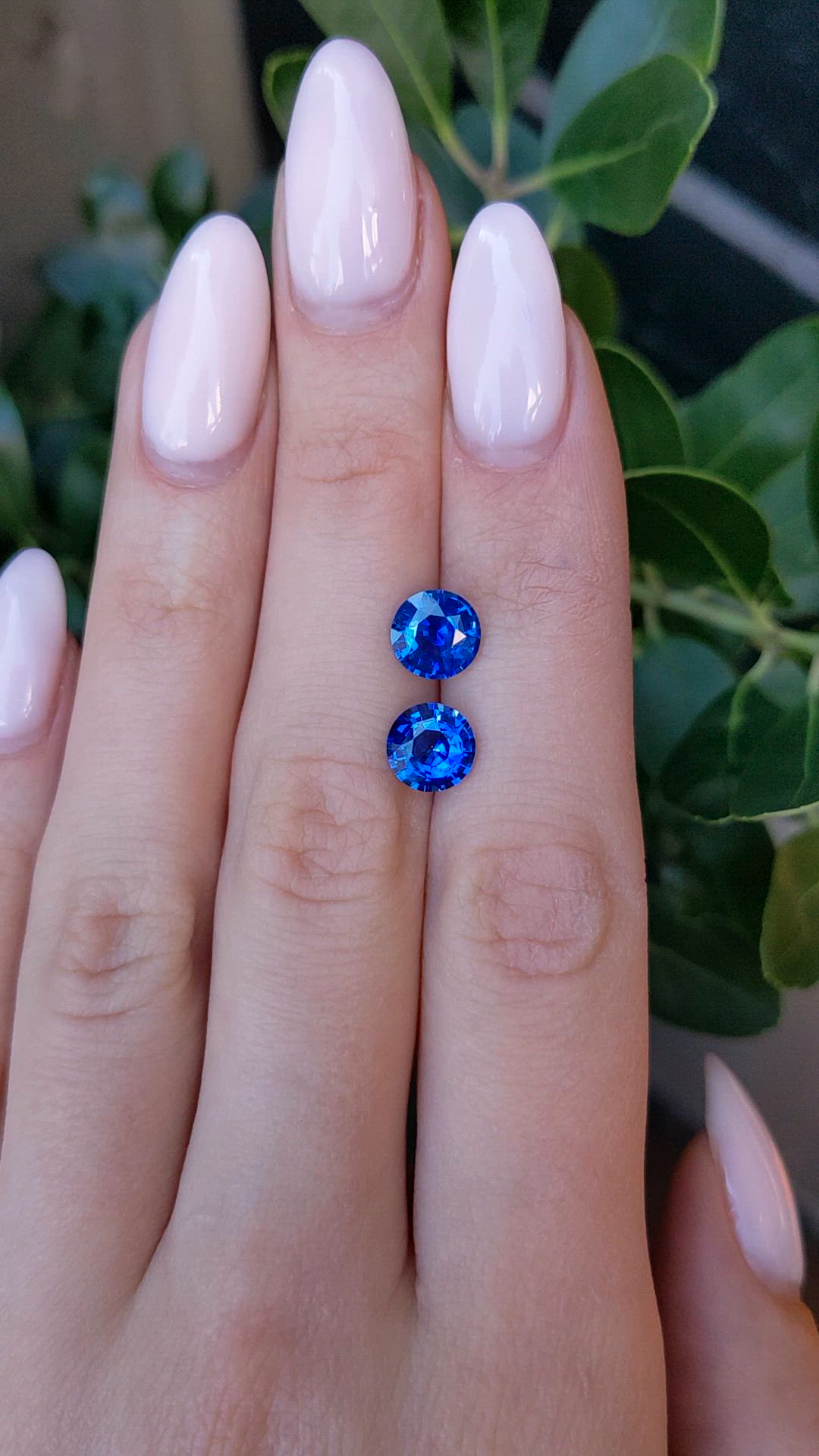 3.50 Ct.Tw.Total Carat Weight Blue Sapphire Pair from Ceylon (Sri Lanka) Size Video