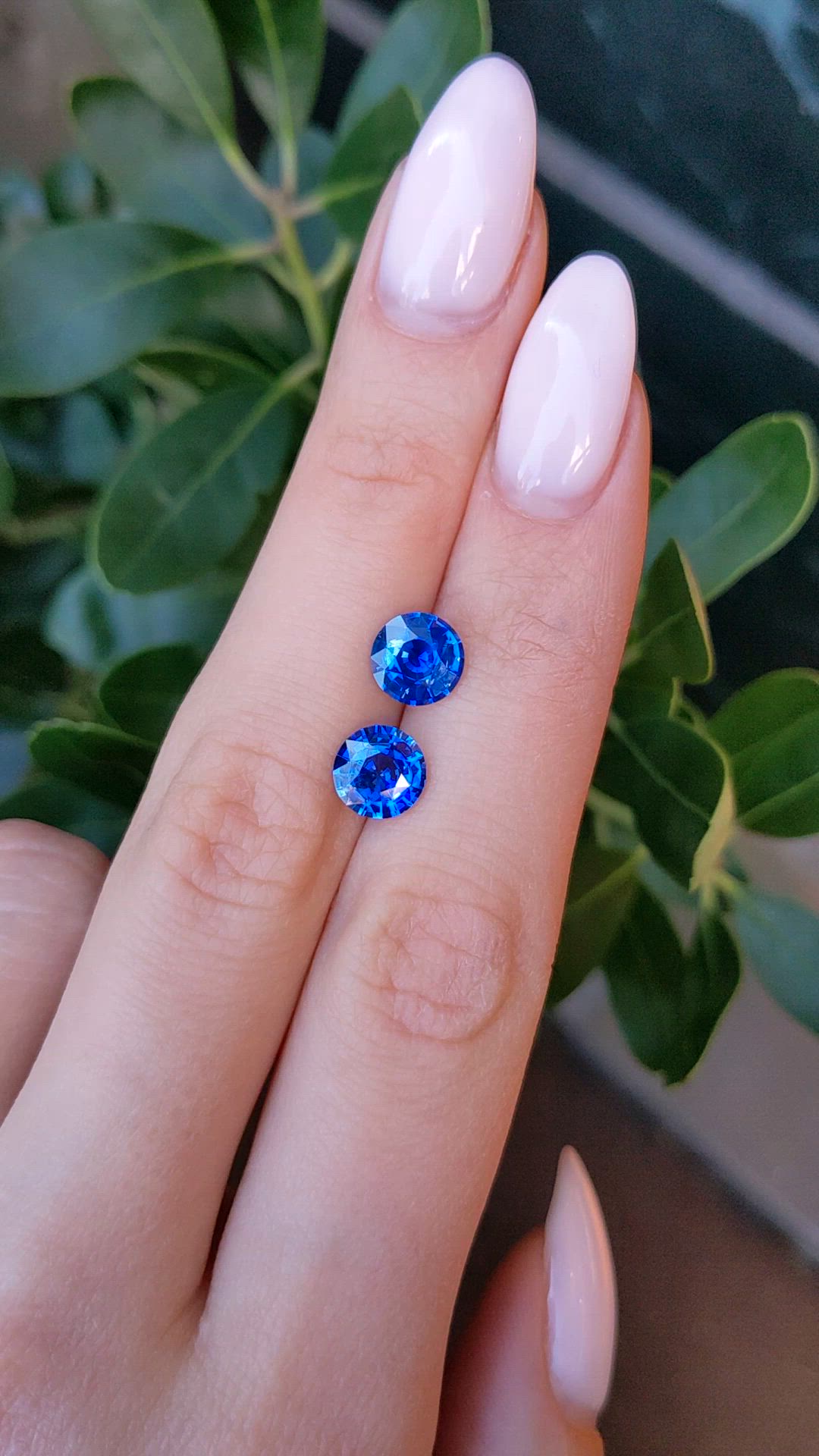 3.50 Ct.Tw.Total Carat Weight Blue Sapphire Pair from Ceylon (Sri Lanka) Size Video