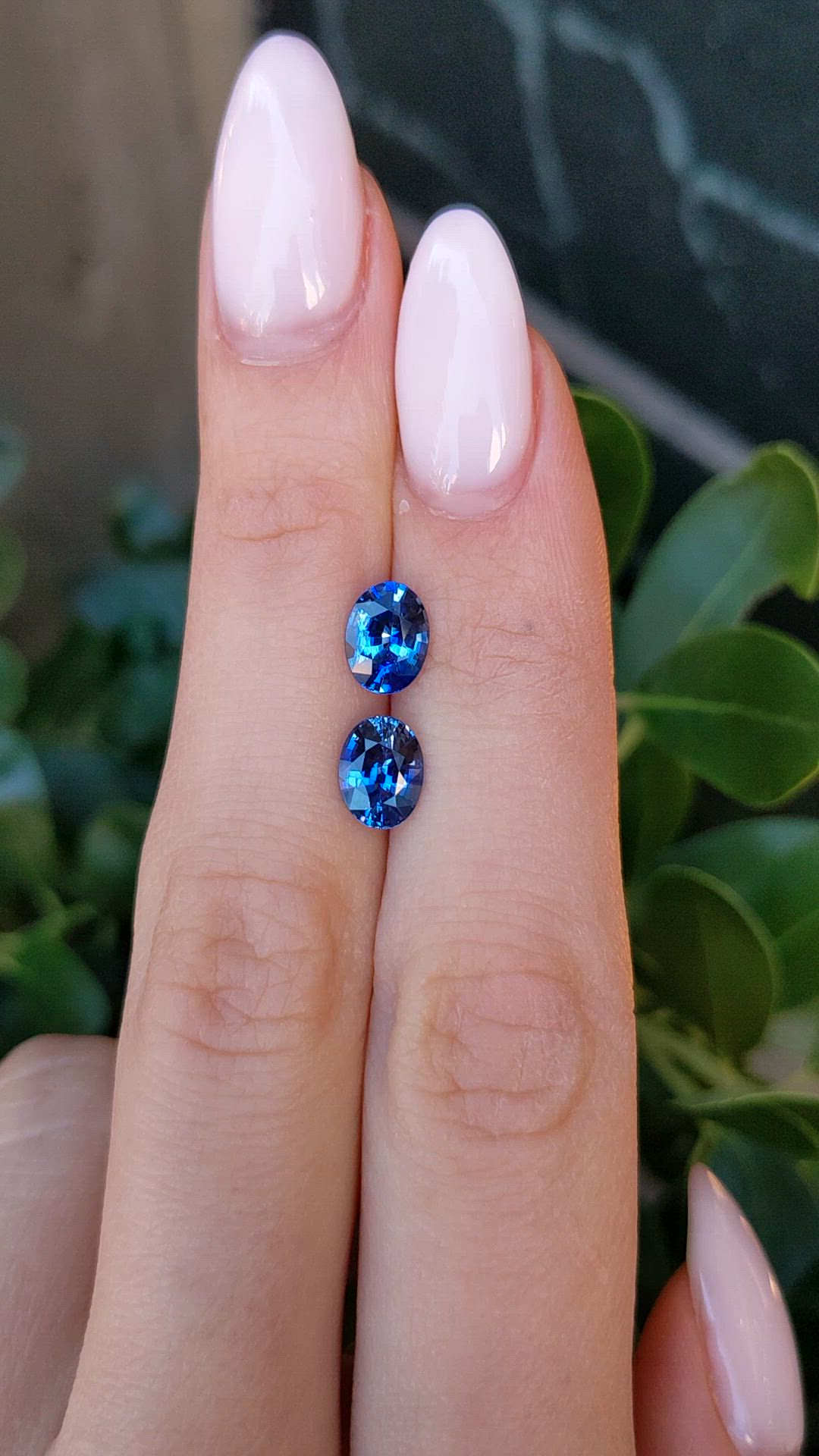 2.87 Ct.Tw.Total Carat Weight Blue Sapphire Pair from Ceylon (Sri Lanka) Size Video