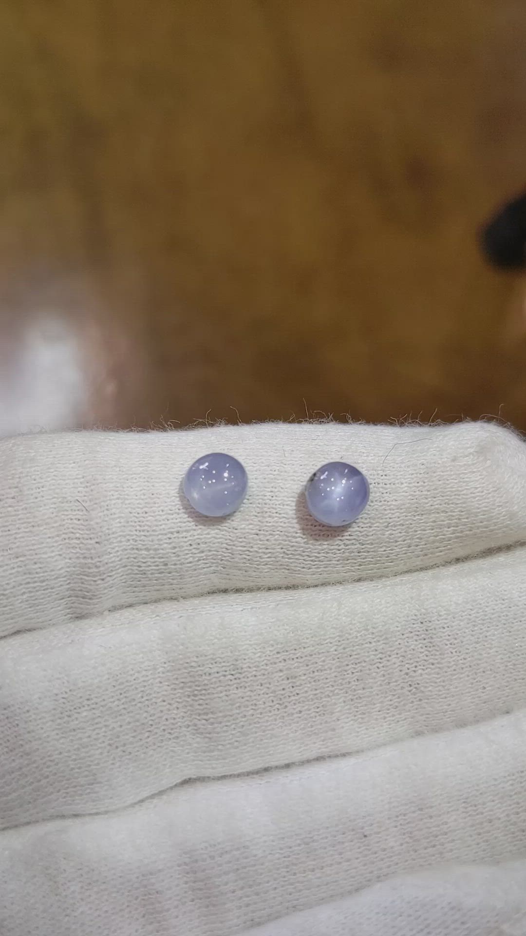 3.07 Ct.Tw.Total Carat Weight Greyish Blue Star Sapphire Pair from Ceylon (Sri Lanka) Size Video