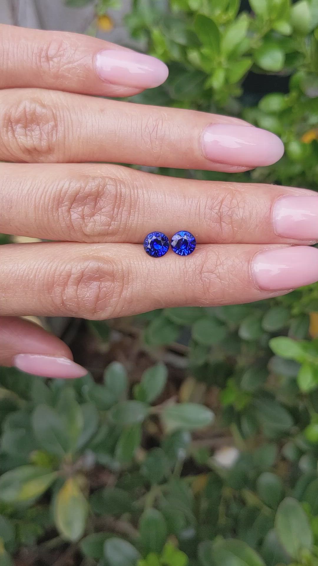 1.68 Ct.Tw.Total Carat Weight Blue Sapphire Pair from Ceylon (Sri Lanka) Size Video