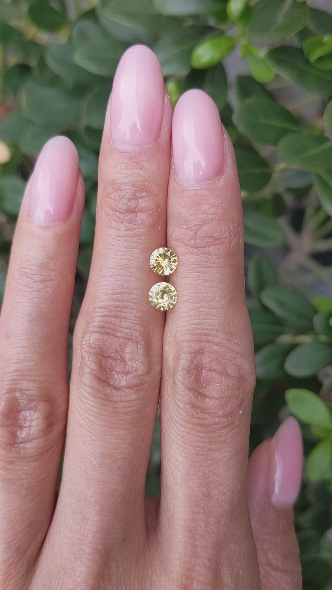 1.09&nbsp;Ct.Tw.Total Carat Weight Yellow Sapphire Pair from Ceylon (Sri Lanka) Size Video