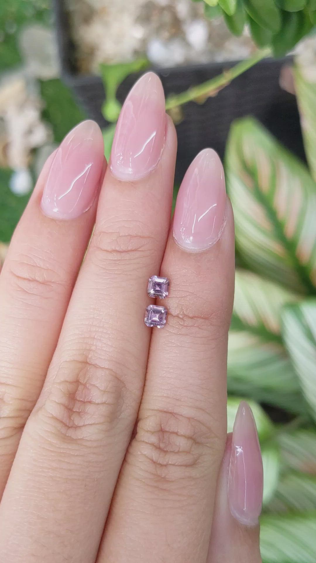 0.57 Ct.Tw.Total Carat Weight Purple Sapphire Pair from Ceylon (Sri Lanka) Size Video