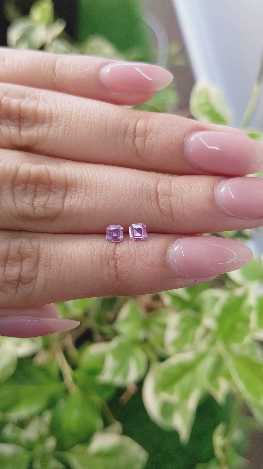 0.51 Ct.Tw.Total Carat Weight Purple Sapphire Pair from Ceylon (Sri Lanka) Size Video