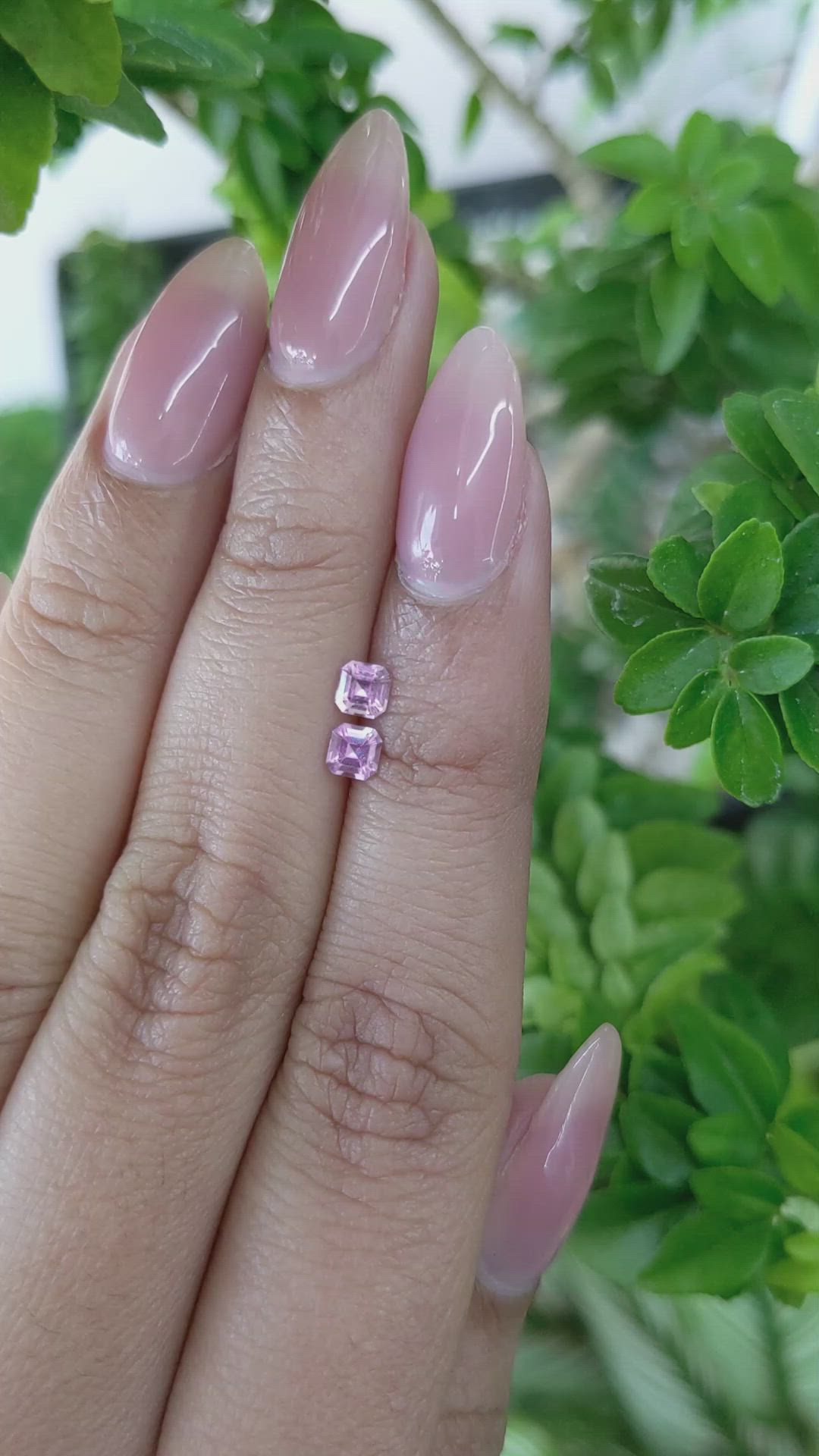 0.48 Ct.Tw.Total Carat Weight Purple Sapphire Pair from Ceylon (Sri Lanka) Size Video