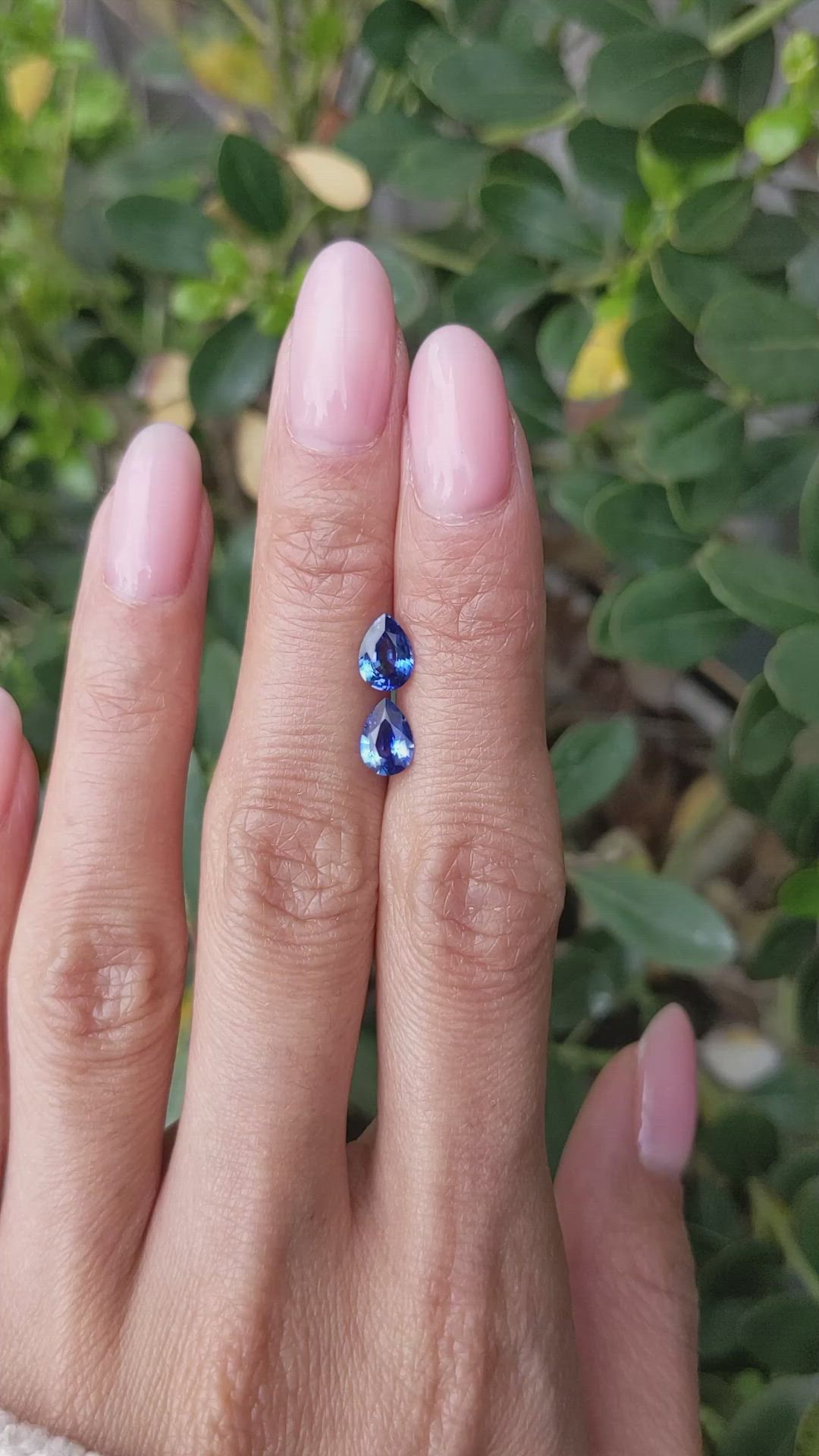 1.54&nbsp;Ct.Tw.Total Carat Weight Blue Sapphire Pair from Ceylon (Sri Lanka) Size Video