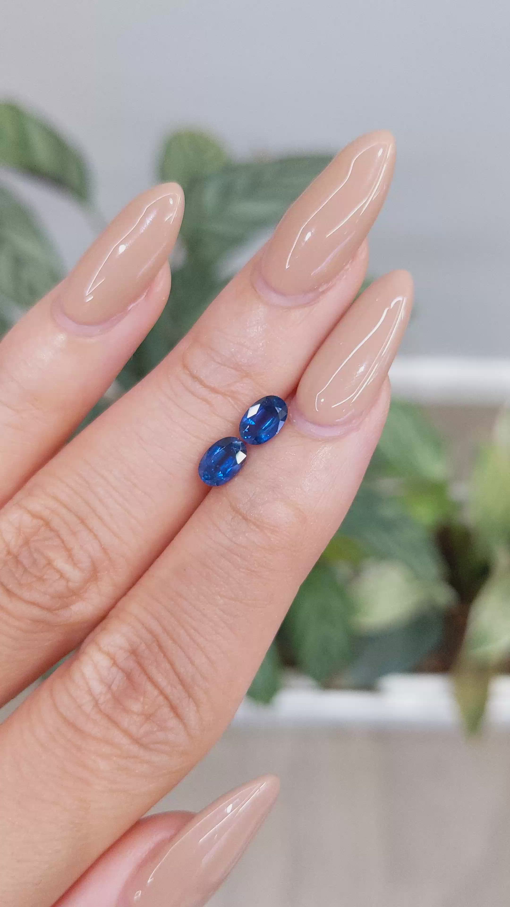 1.28 Ct.Tw.Total Carat Weight Blue Sapphire Pair from Ceylon (Sri Lanka) Size Video