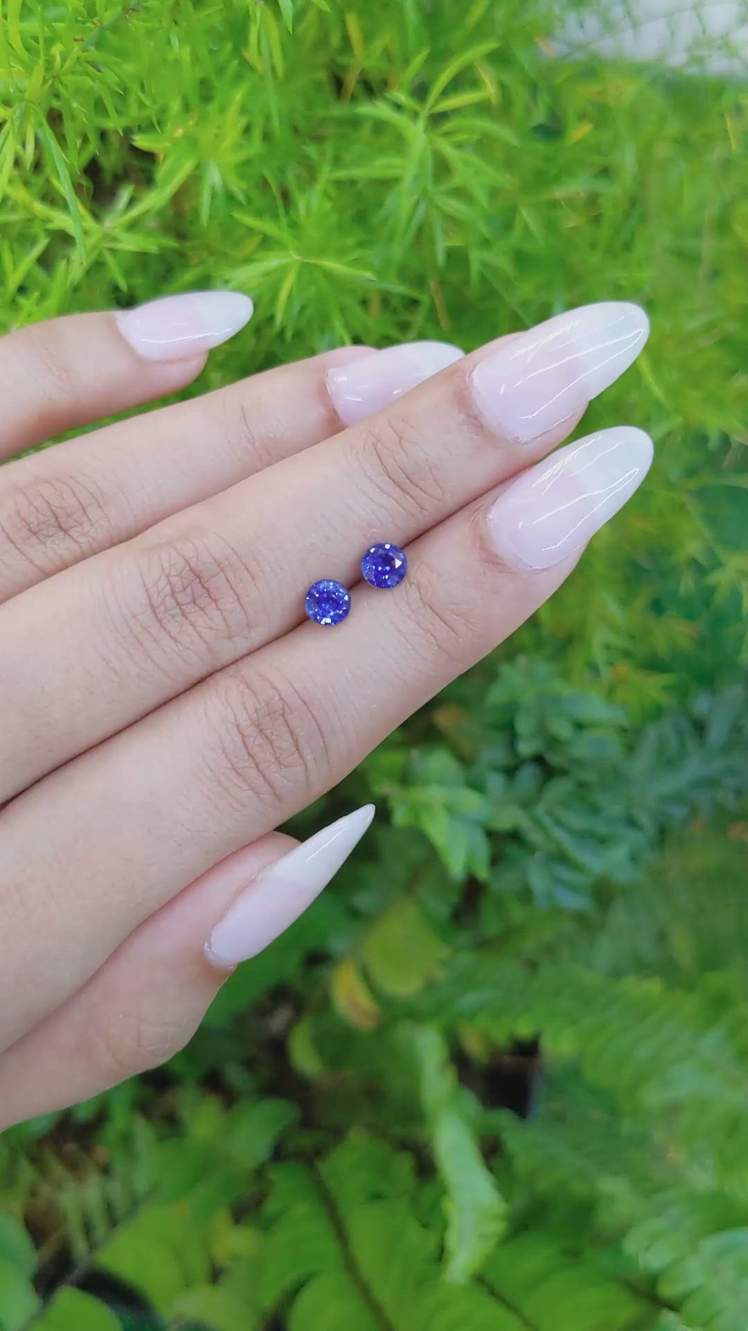 1.05&nbsp;Ct.Tw.Total Carat Weight Blue Sapphire Pair from Ceylon (Sri Lanka) Size Video