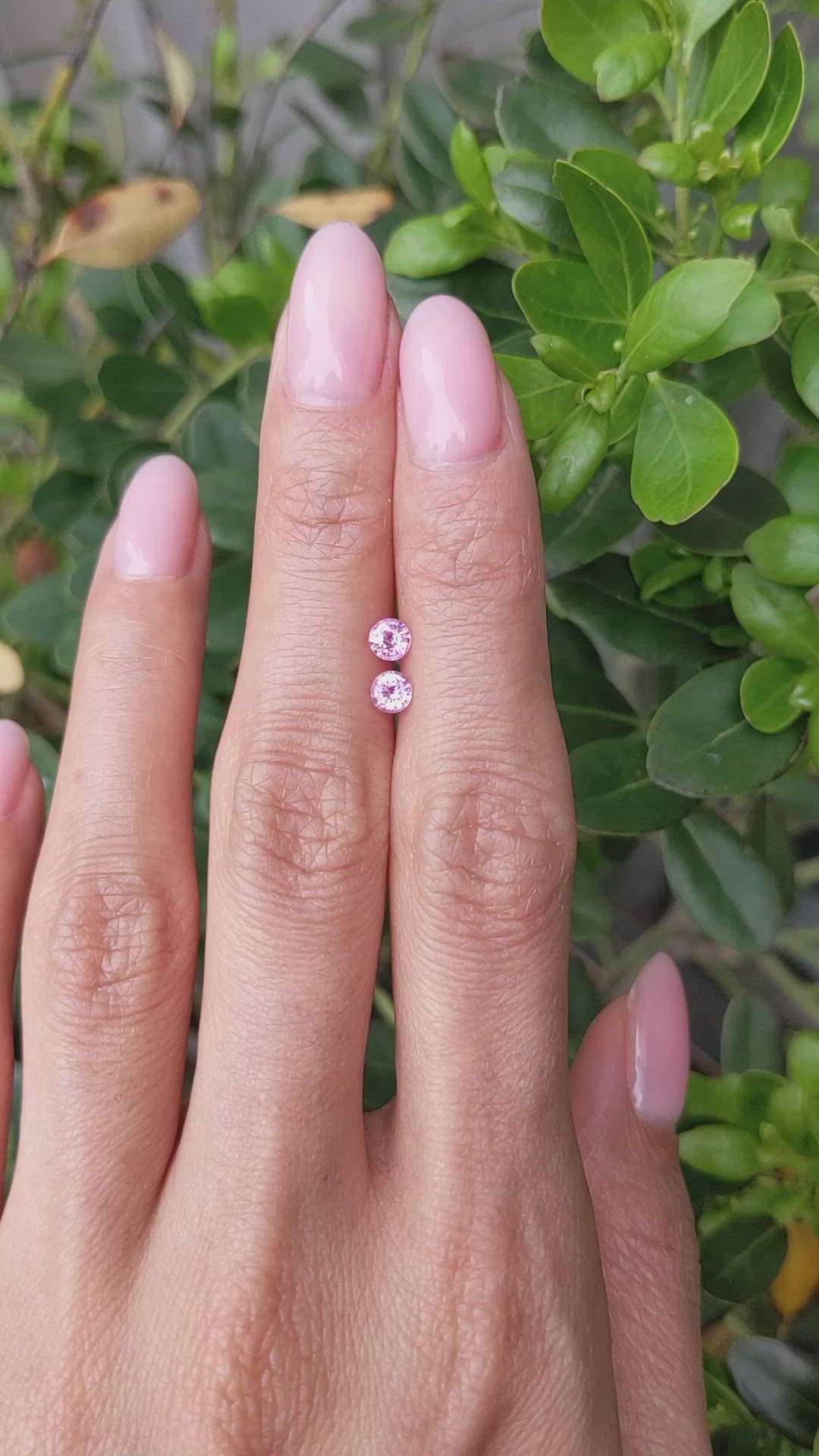 0.60 Ct.Tw.Total Carat Weight Pink Sapphire Pair from Ceylon (Sri Lanka) Size Video