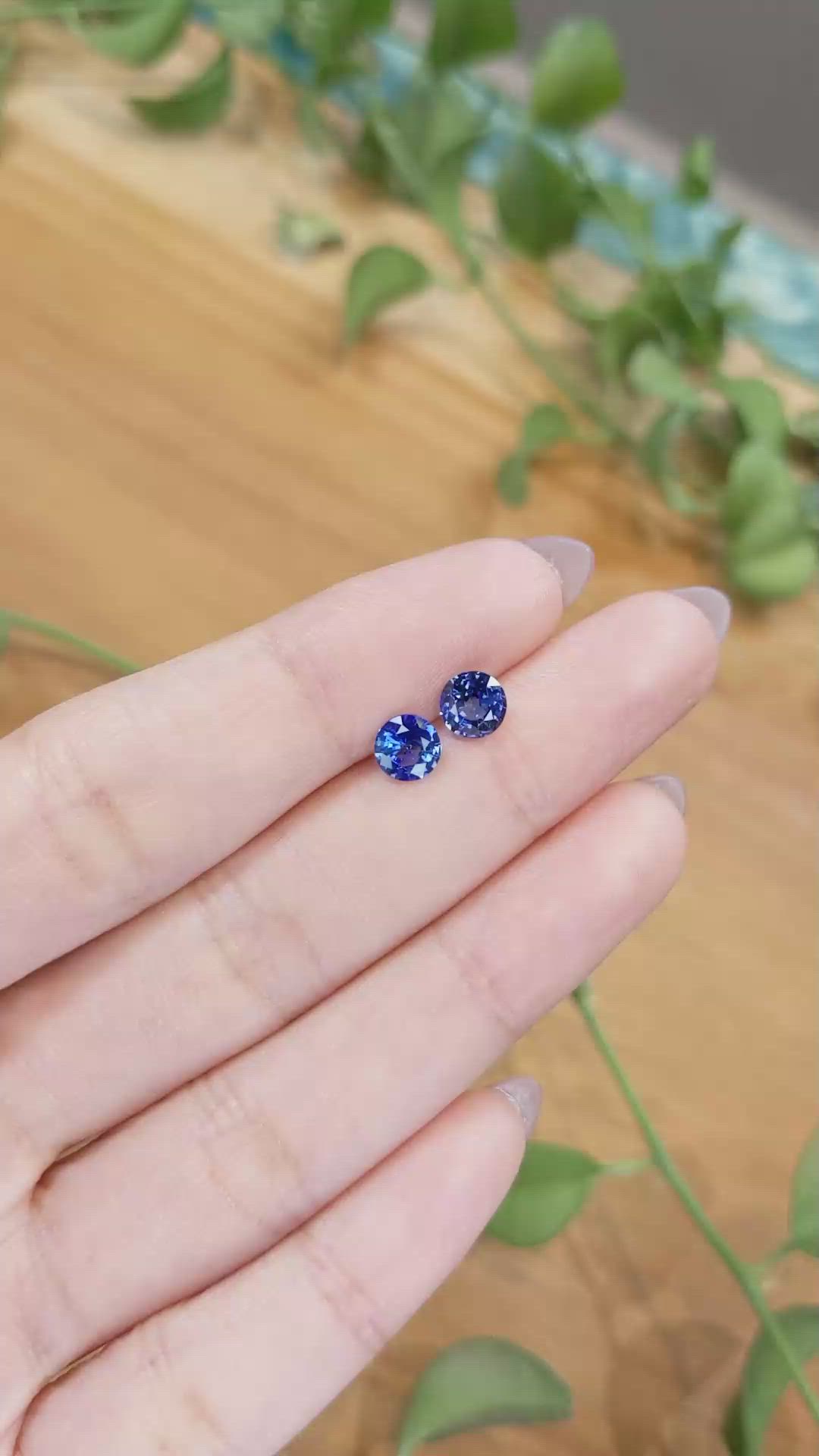 1.66&nbsp;Ct.Tw.Total Carat Weight Blue Sapphire Pair from Ceylon (Sri Lanka) Size Video