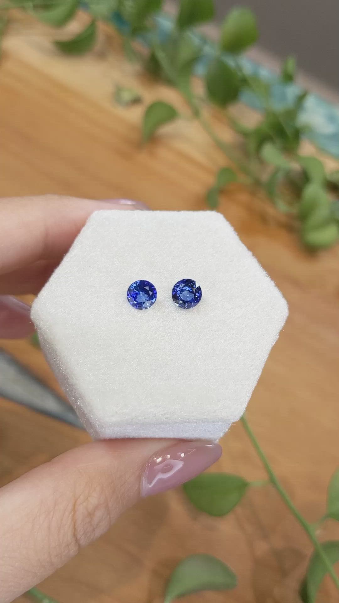 1.66&nbsp;Ct.Tw.Total Carat Weight Blue Sapphire Pair from Ceylon (Sri Lanka) Size Video