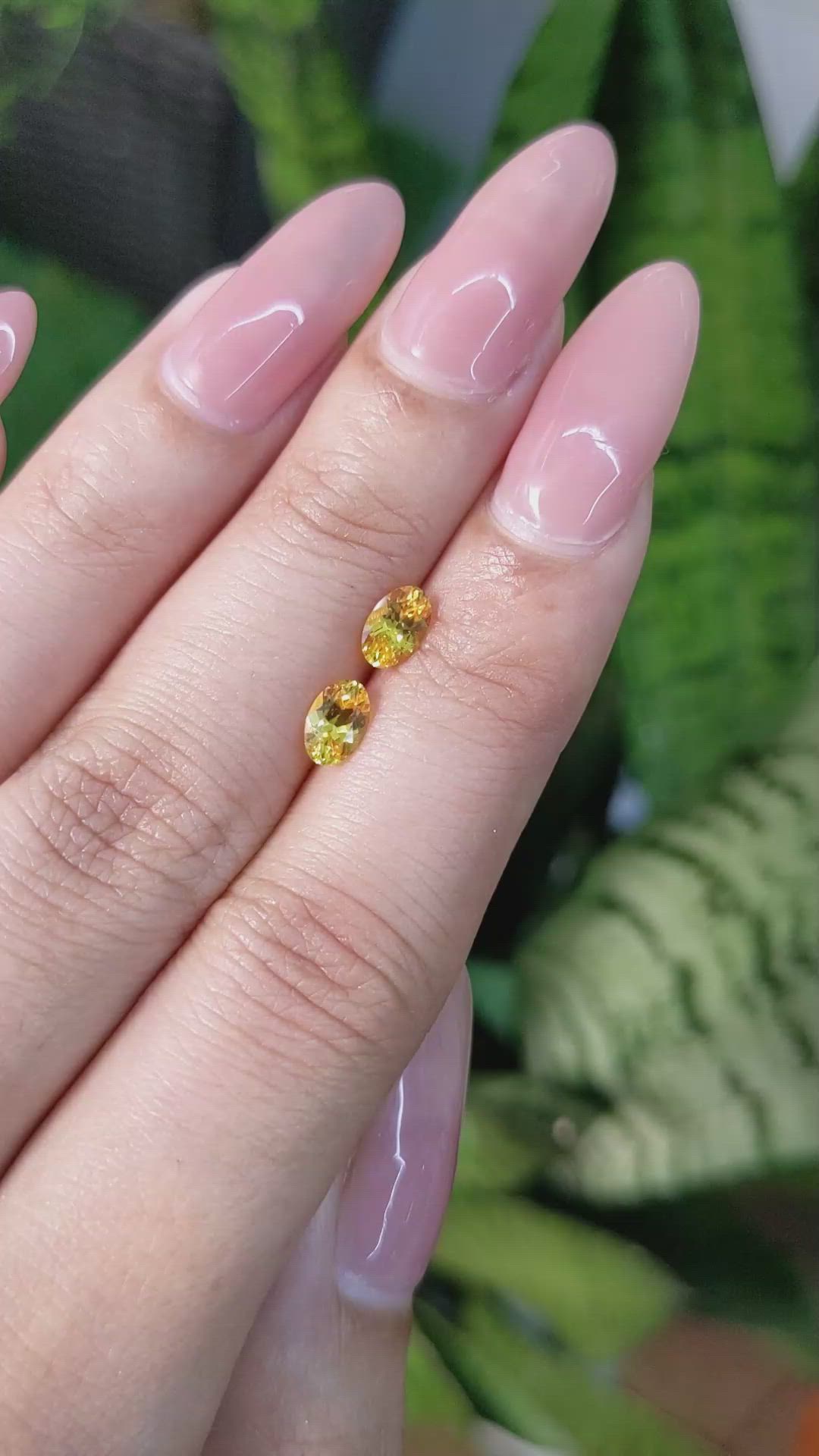 1.04 Ct.Tw.Total Carat Weight Yellow Sapphire Pair from Ceylon (Sri Lanka) Size Video
