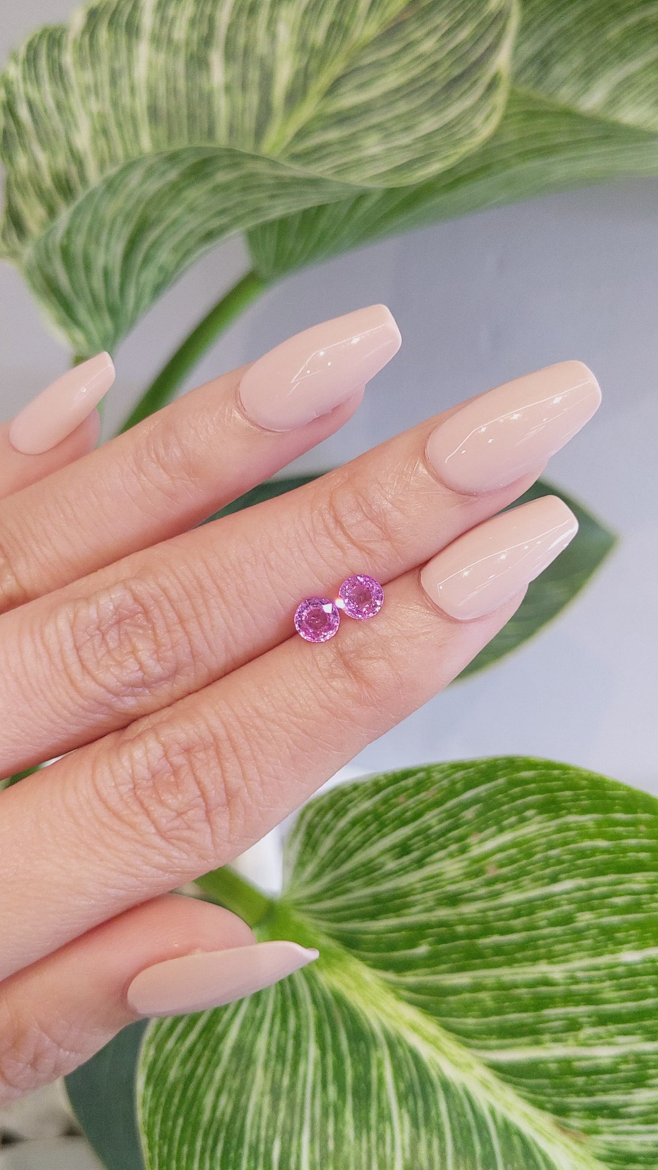 1.12&nbsp;Ct.Tw.Total Carat Weight Pink Sapphire Pair from Ceylon (Sri Lanka) Size Video