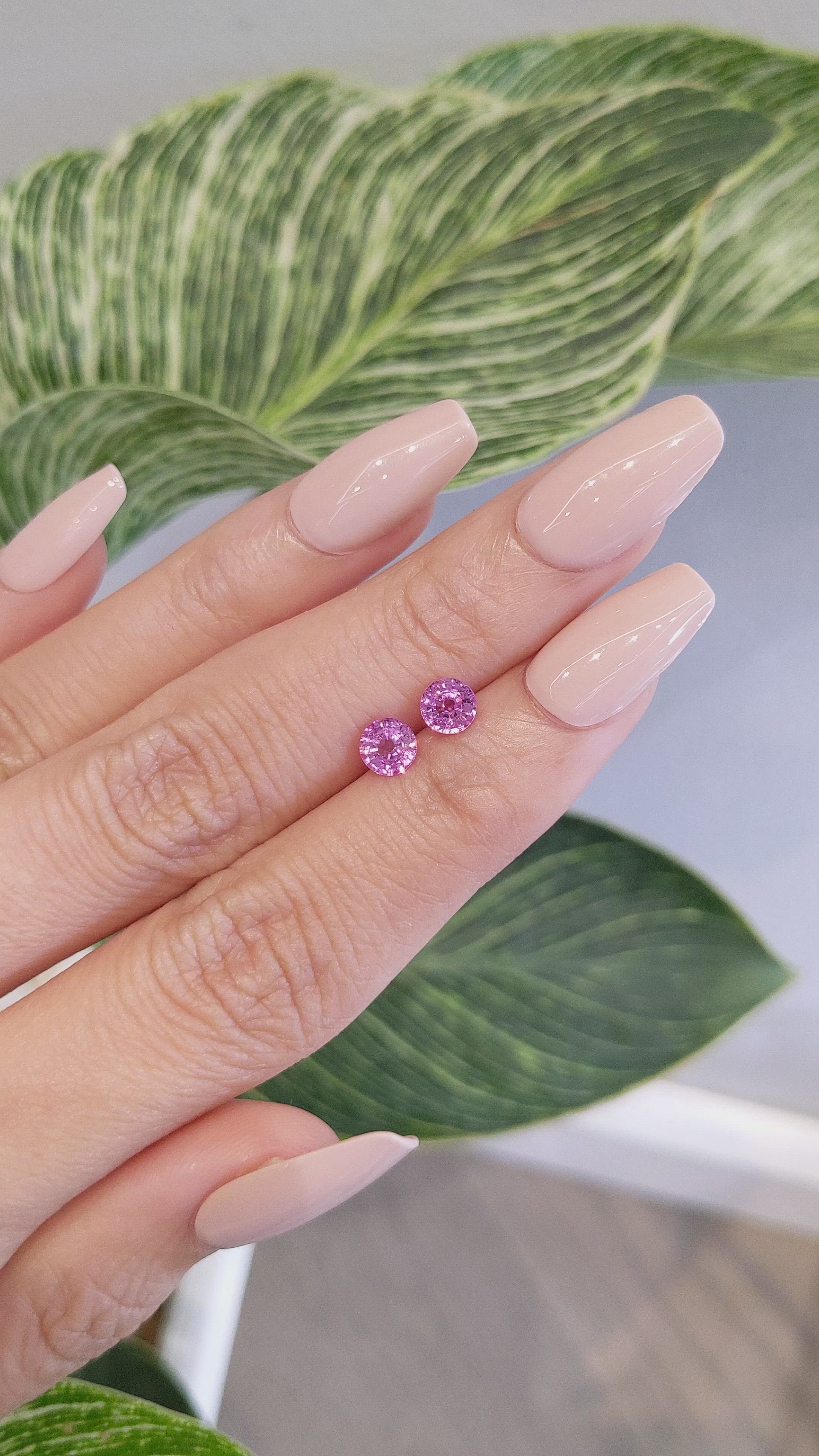 1.31 Ct.Tw.Total Carat Weight Pink Sapphire Pair from Ceylon (Sri Lanka) Size Video