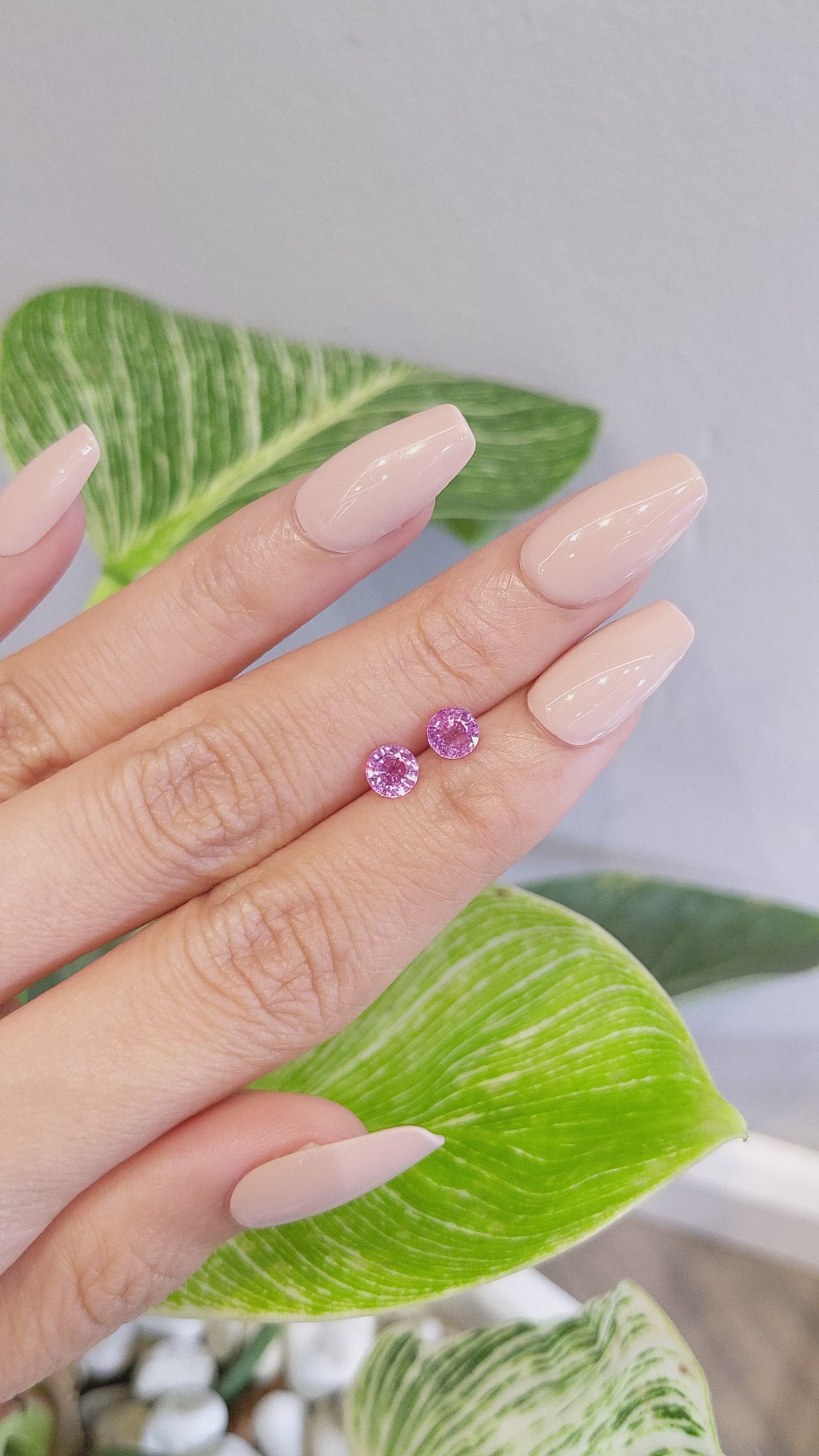 1.36&nbsp;Ct.Tw.Total Carat Weight Pink Sapphire Pair from Ceylon (Sri Lanka) Size Video